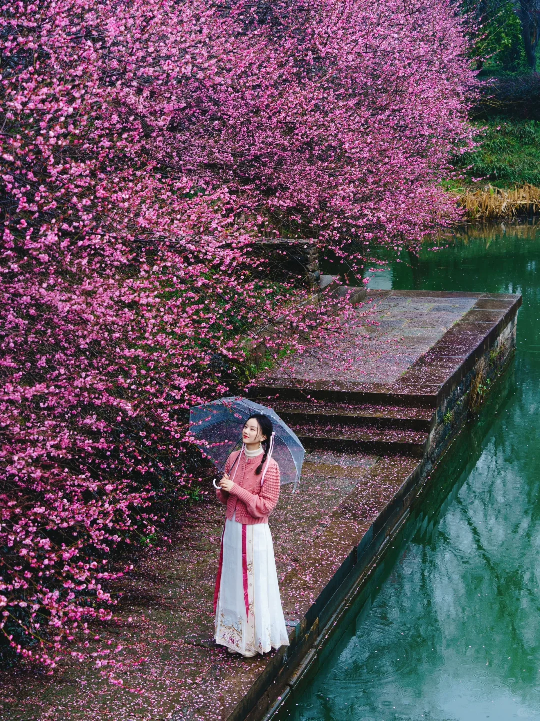 杭州梅花进度60%‼️推荐❾个人少小众赏花地