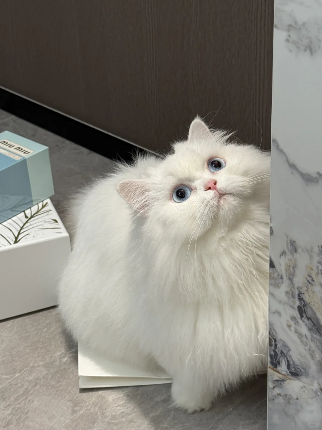 plog🌷2025开年的幸福存档！