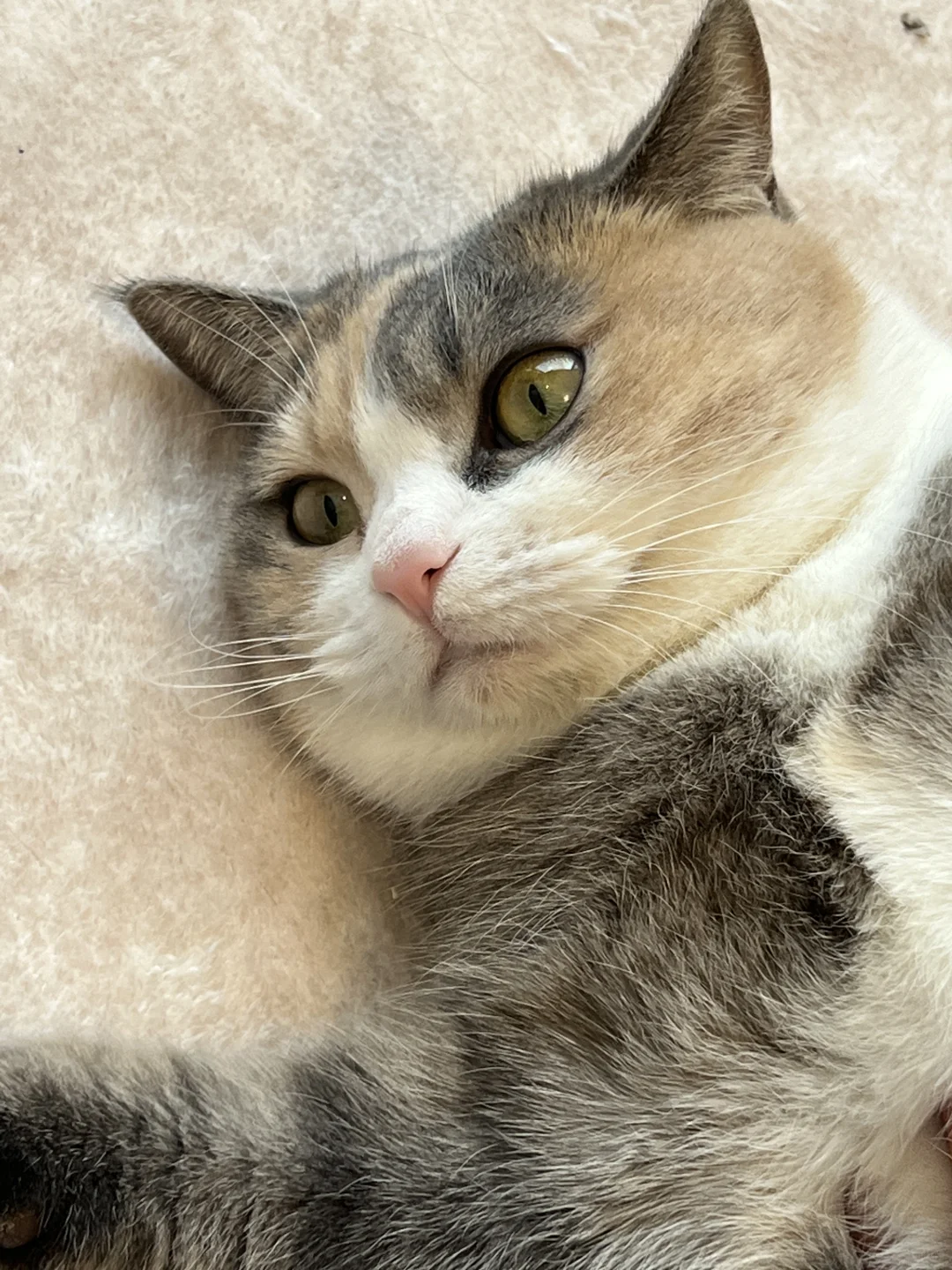 啊啊啊啊她好甜！巨甜！