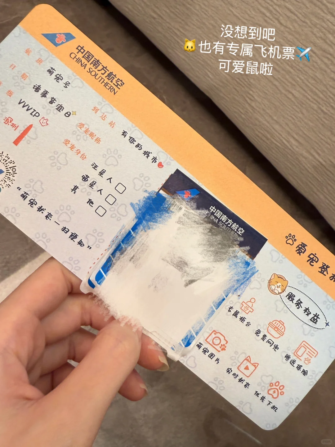 plog🌷2025开年的幸福存档！