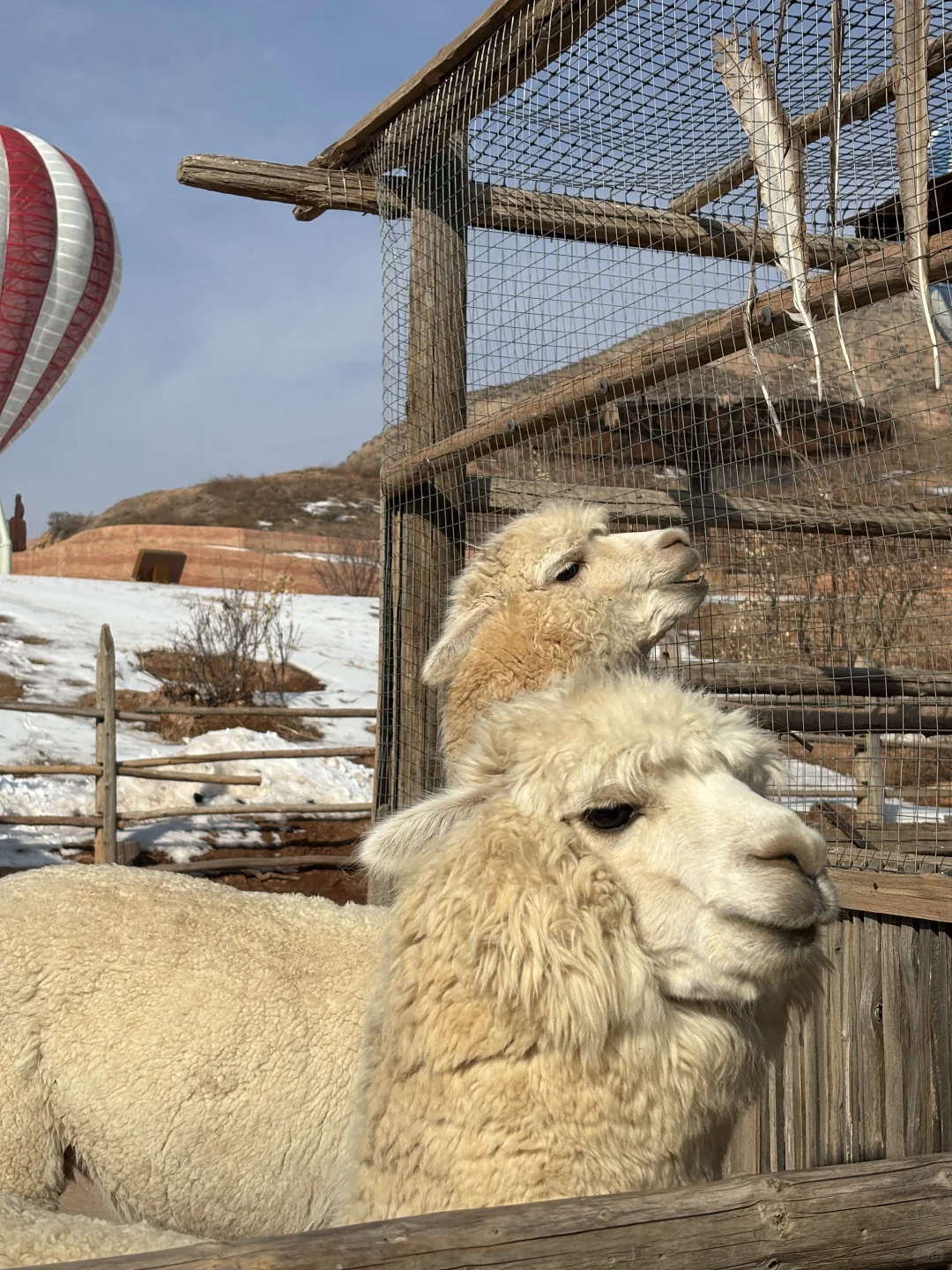 真的有被甘肃兰州水墨丹霞震惊到!!!