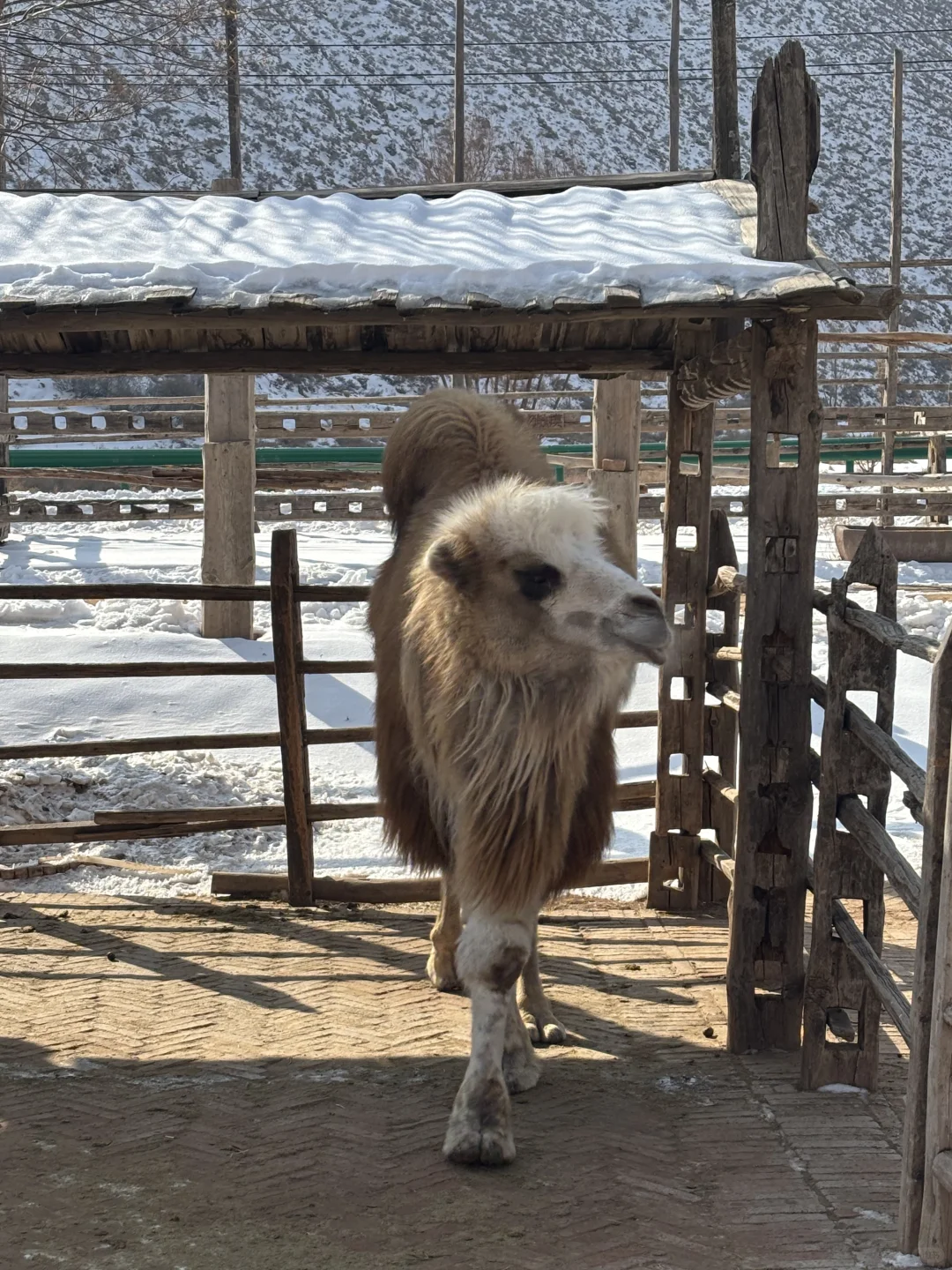 真的有被甘肃兰州水墨丹霞震惊到!!!