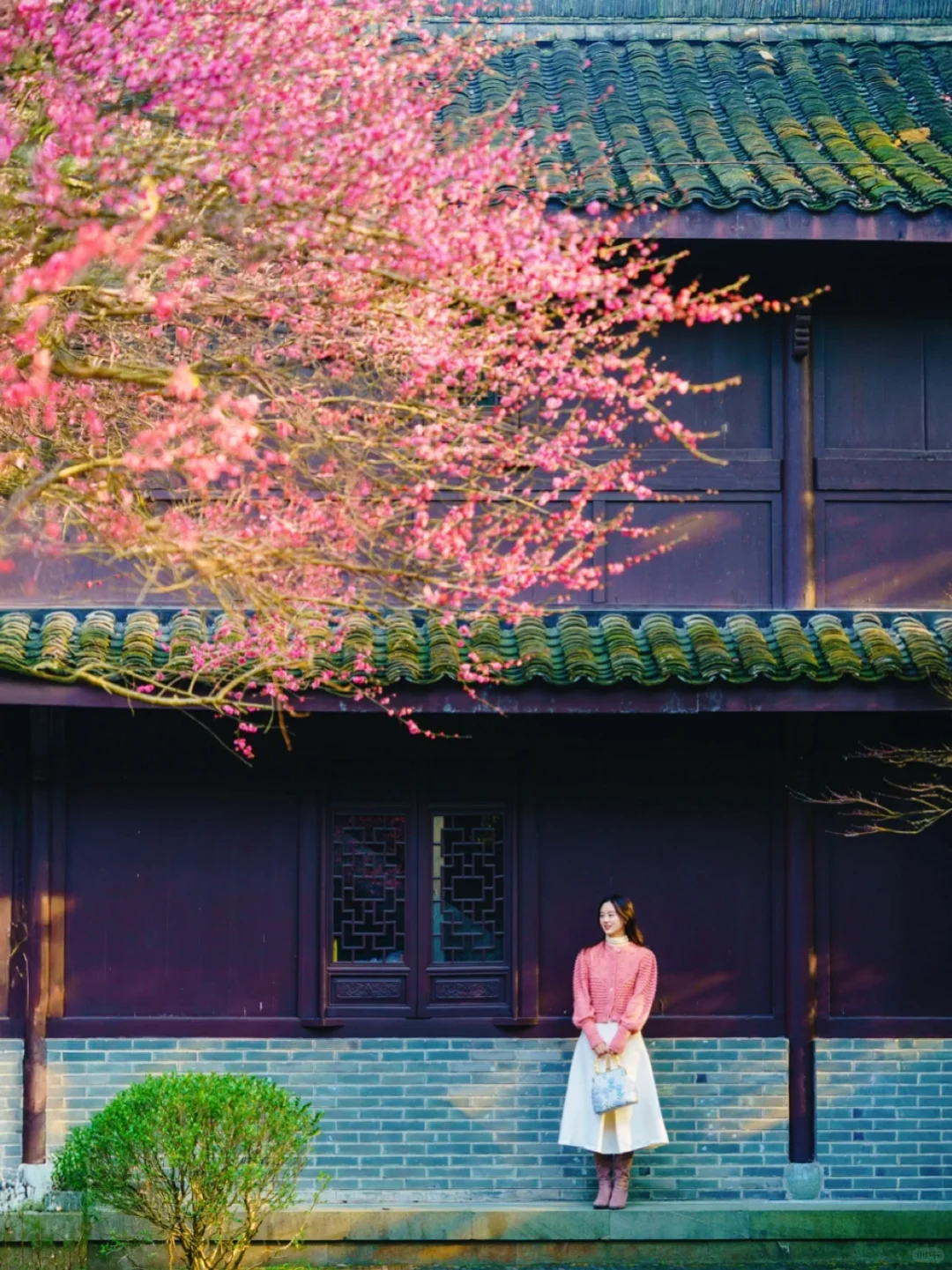 杭州梅花进度60%‼️推荐❾个人少小众赏花地