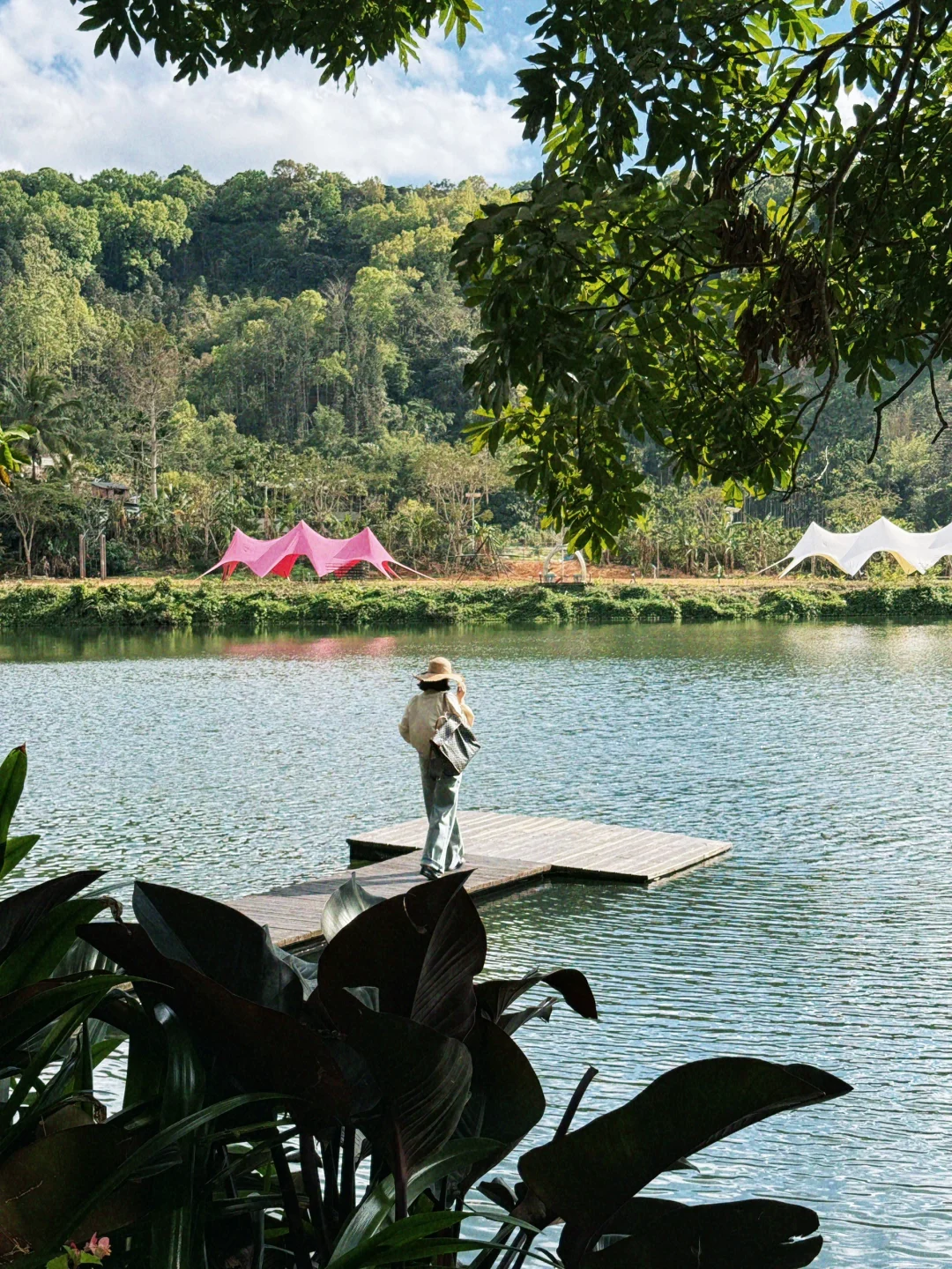 海南版阿凡达世界90%游客不知道的雨林幻境
