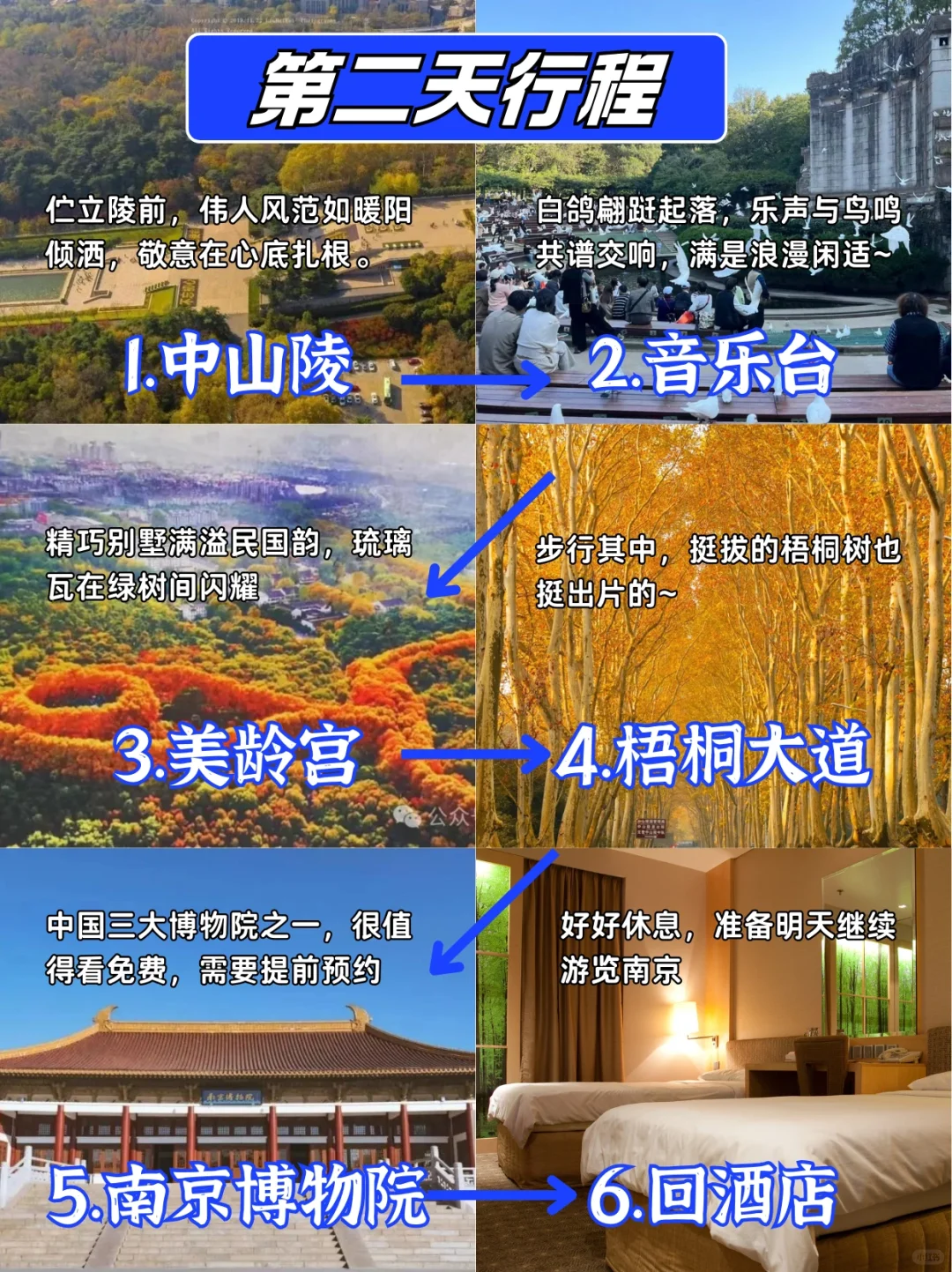 南京景点真实排行✅这些地方放心冲‼️