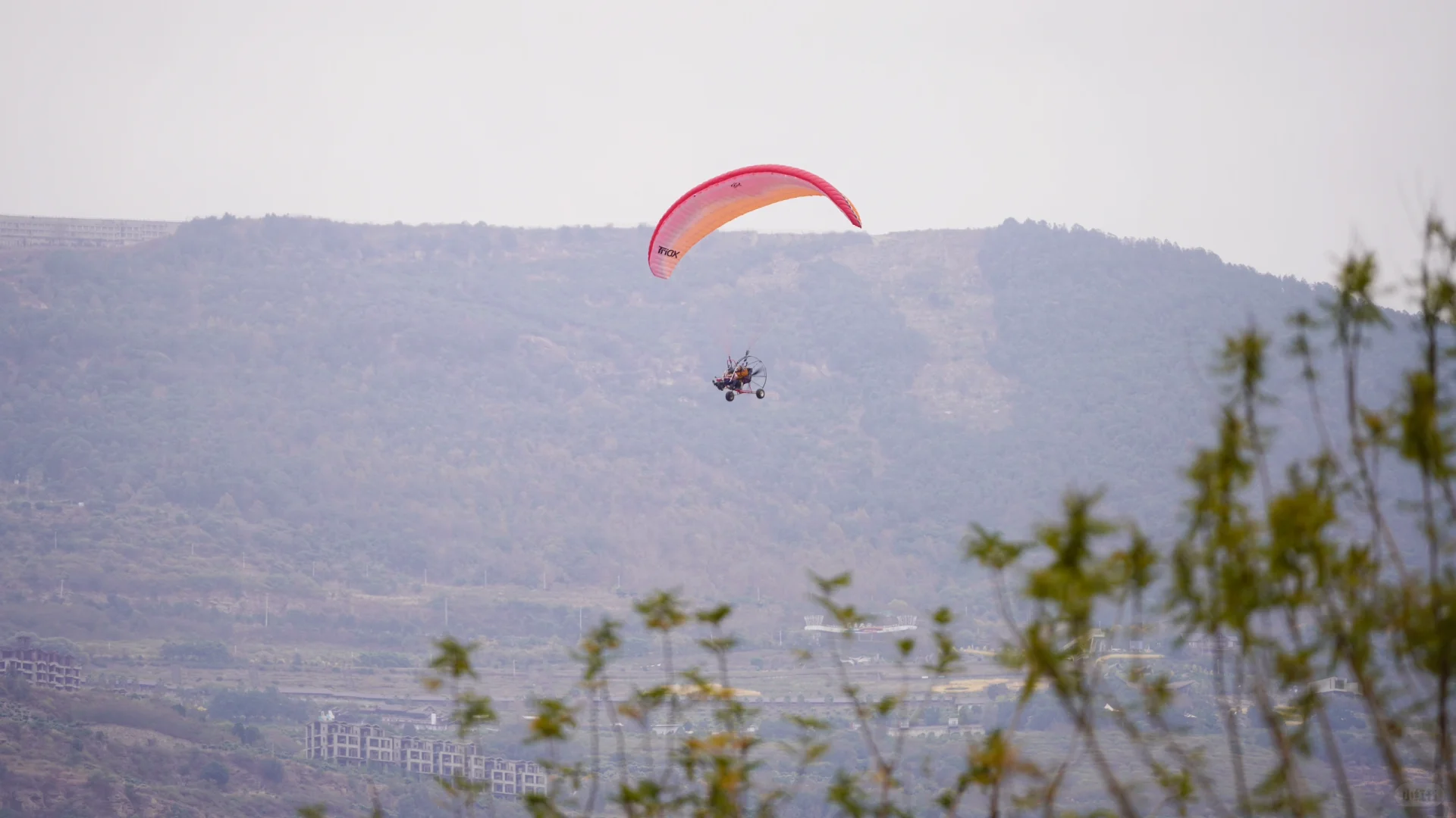 避坑‼️阿署达四季花海景区