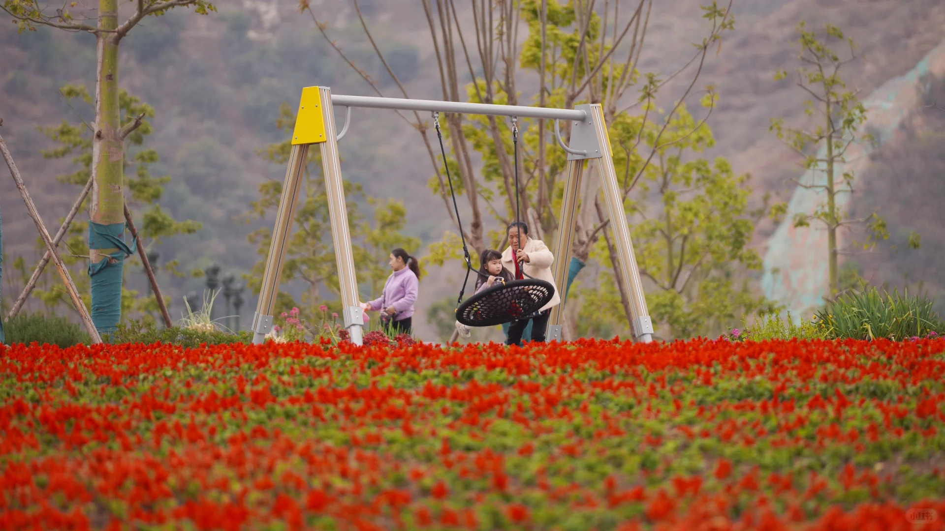 避坑‼️阿署达四季花海景区