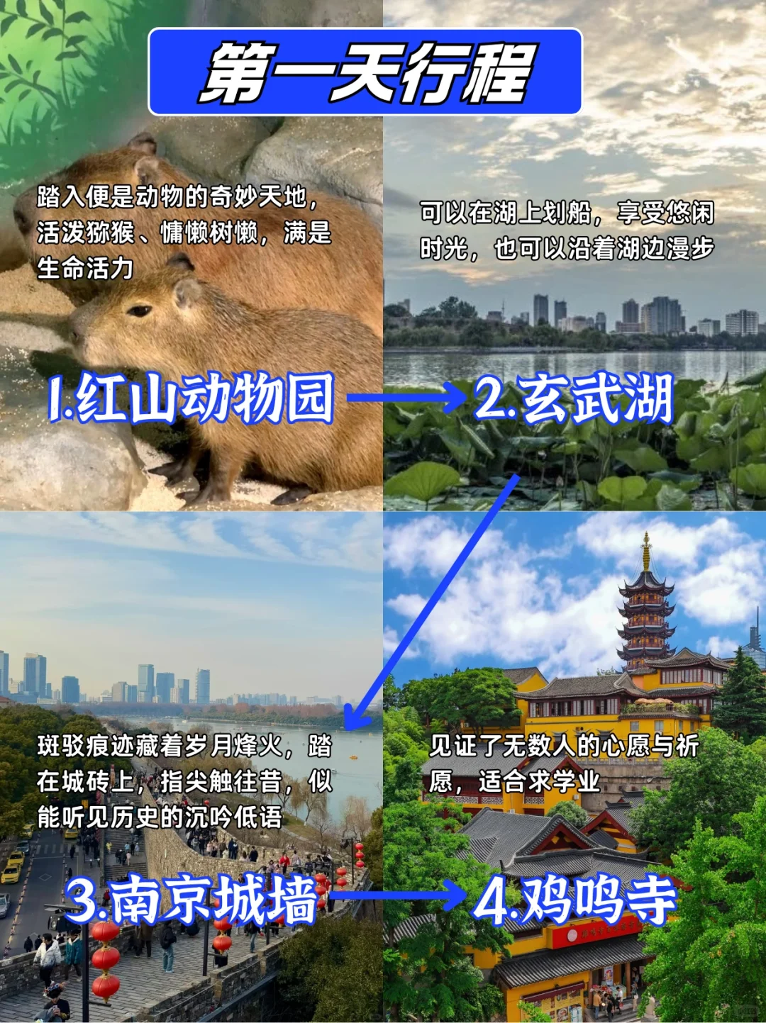 南京景点真实排行✅这些地方放心冲‼️