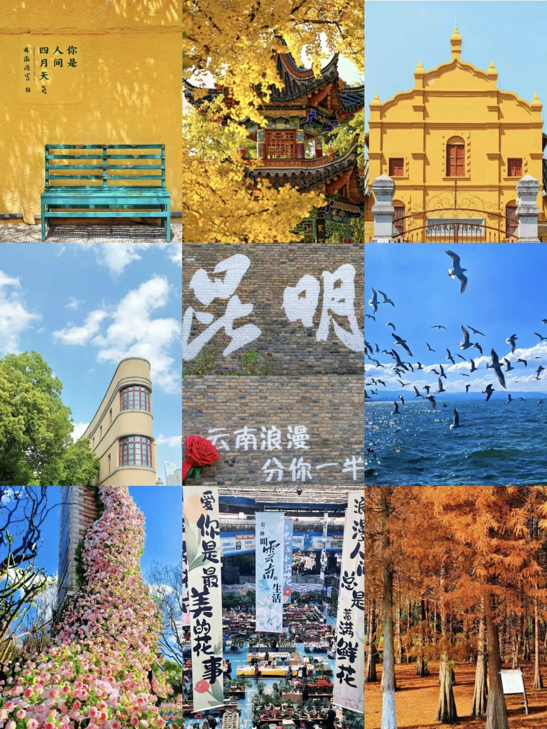 2025上半年穷游城市推荐！🌟