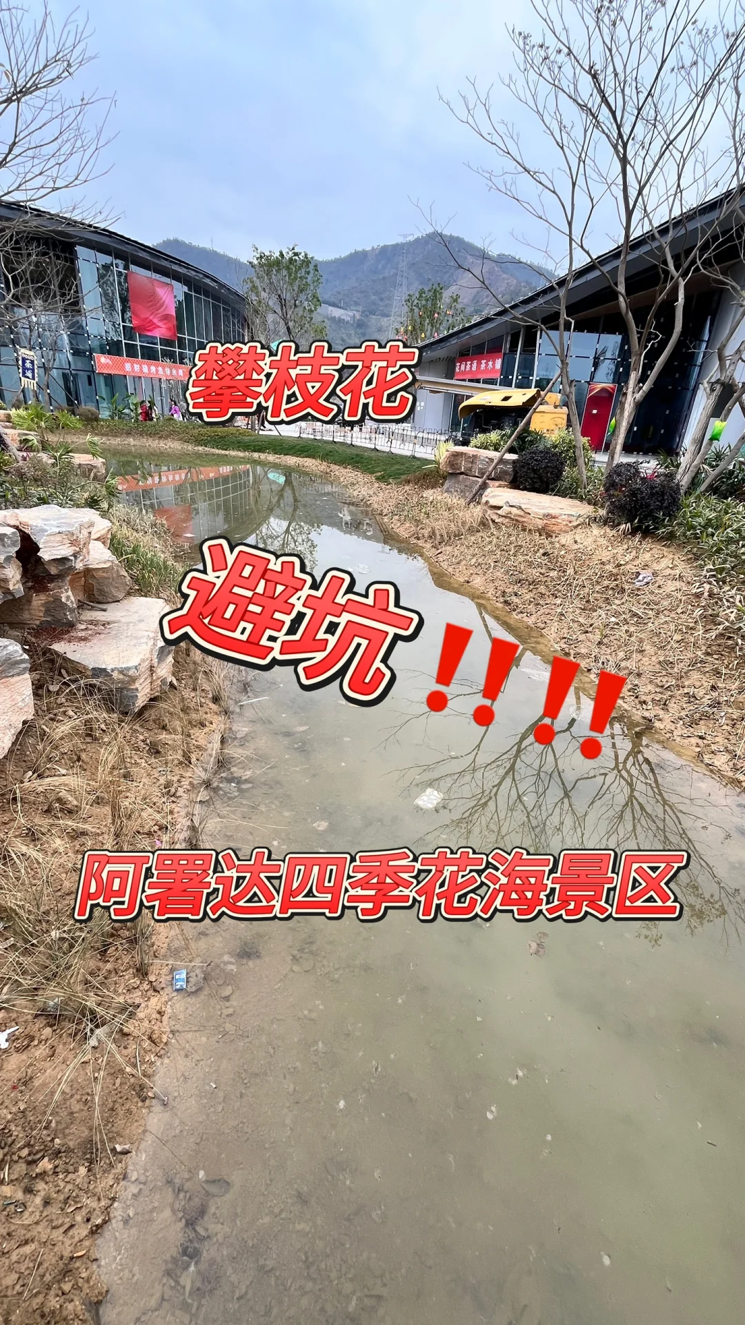 避坑‼️阿署达四季花海景区
