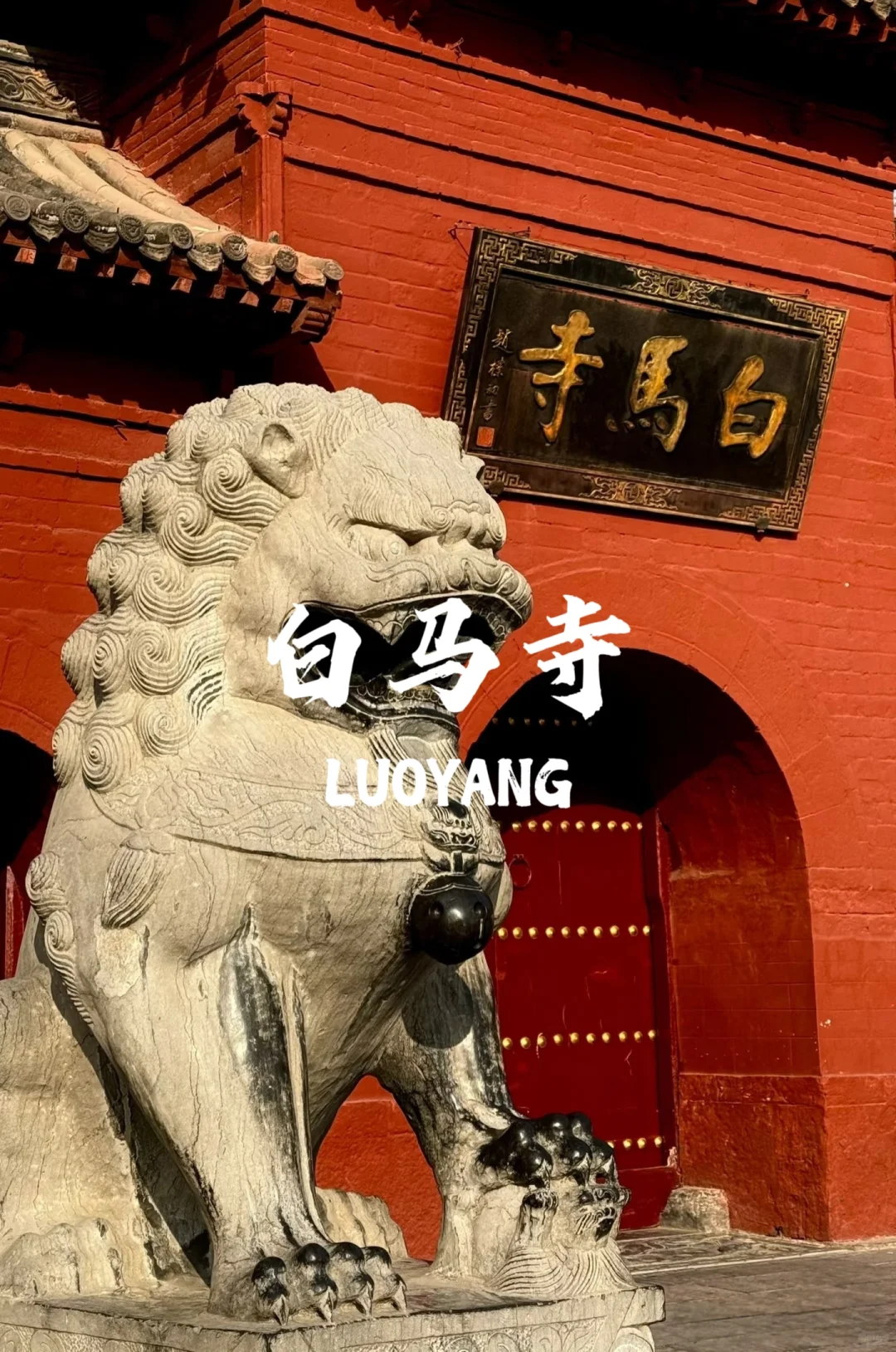 被洛阳的氛围治愈了~