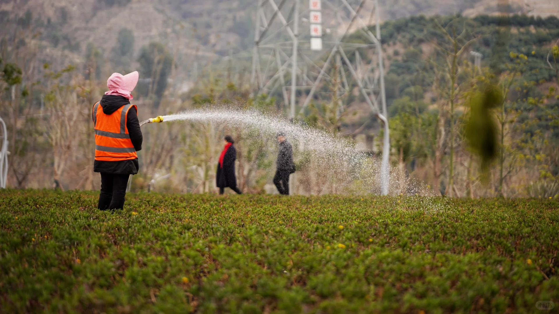 避坑‼️阿署达四季花海景区