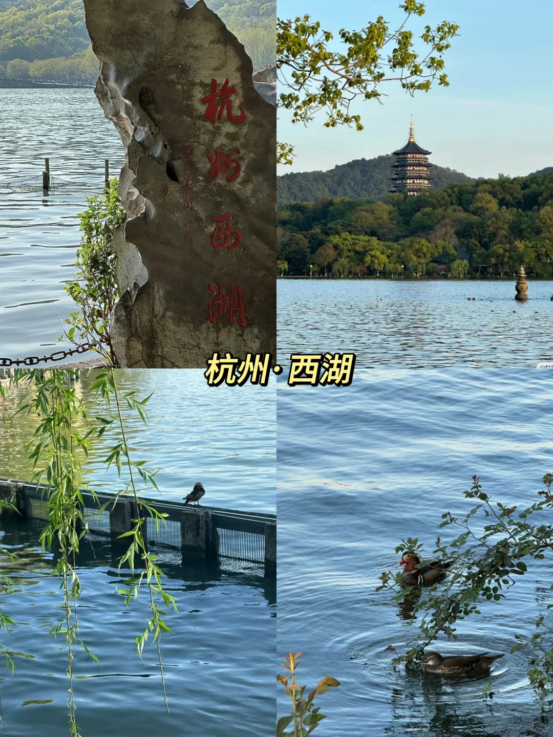 中国 10 个 “6A” 景区你去过几个?