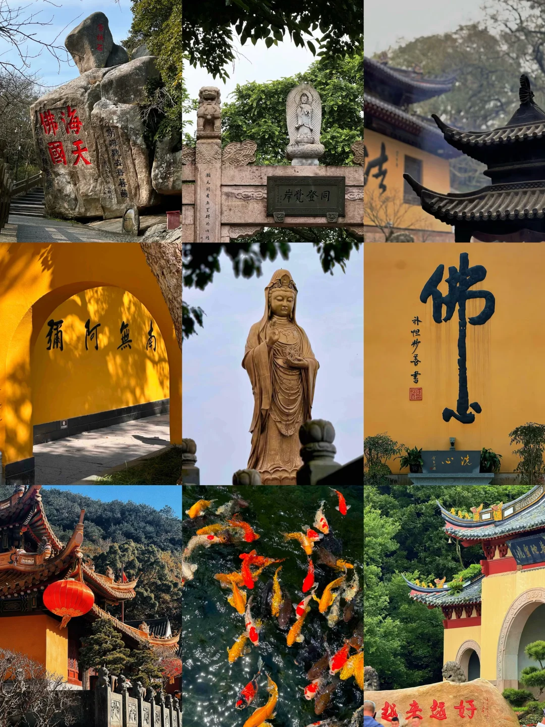 在普陀山生活了20年，给最近要来的姐妹建议