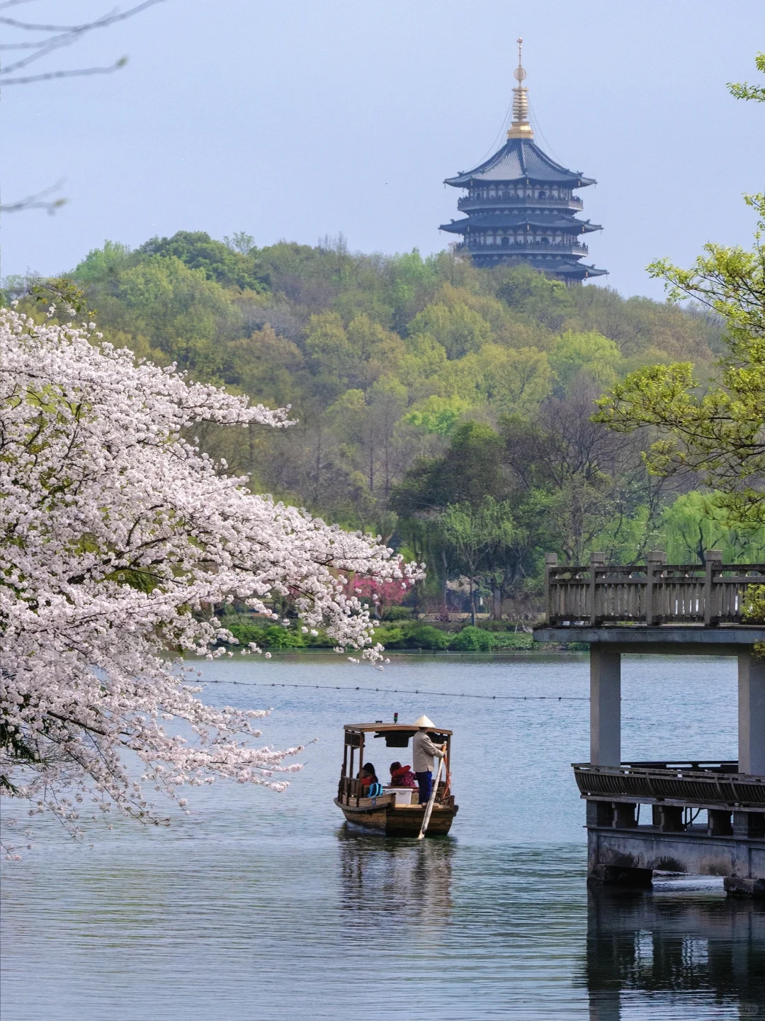 “照我说，烟花三月…🌸当然下杭州！！”