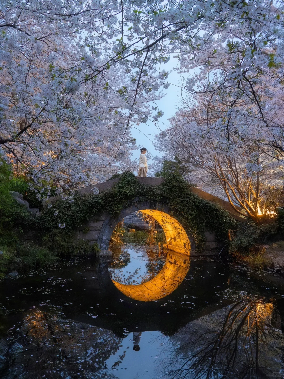 “照我说，烟花三月…🌸当然下杭州！！”
