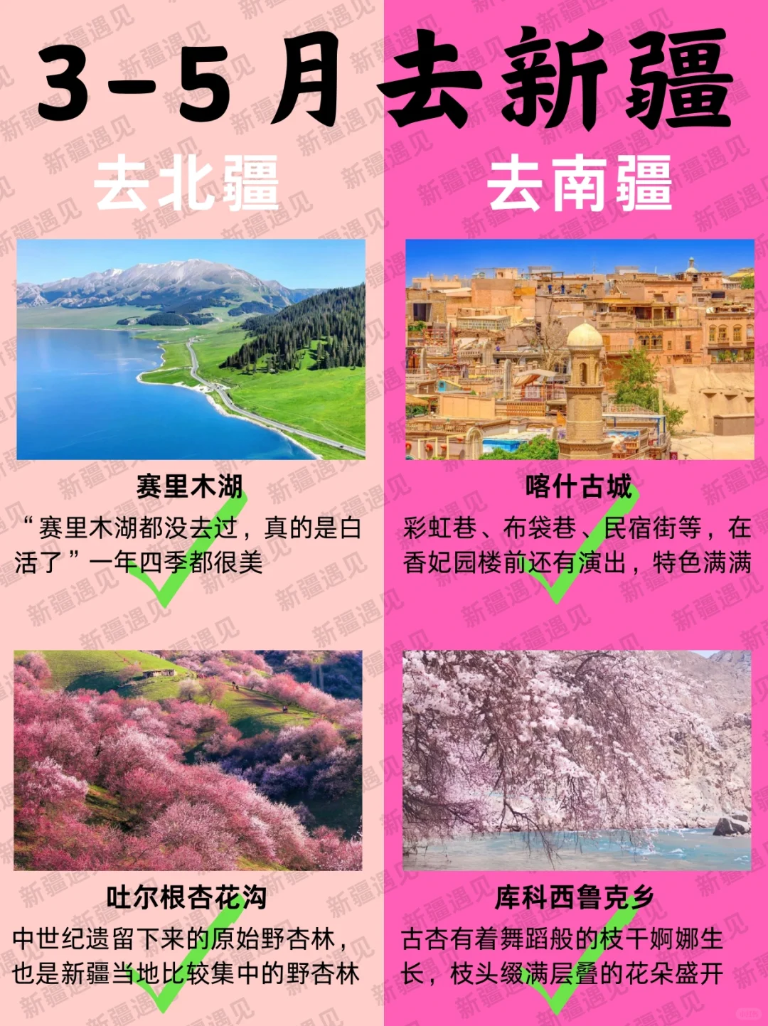 踏春3-5月来新疆📍北疆🆚南疆