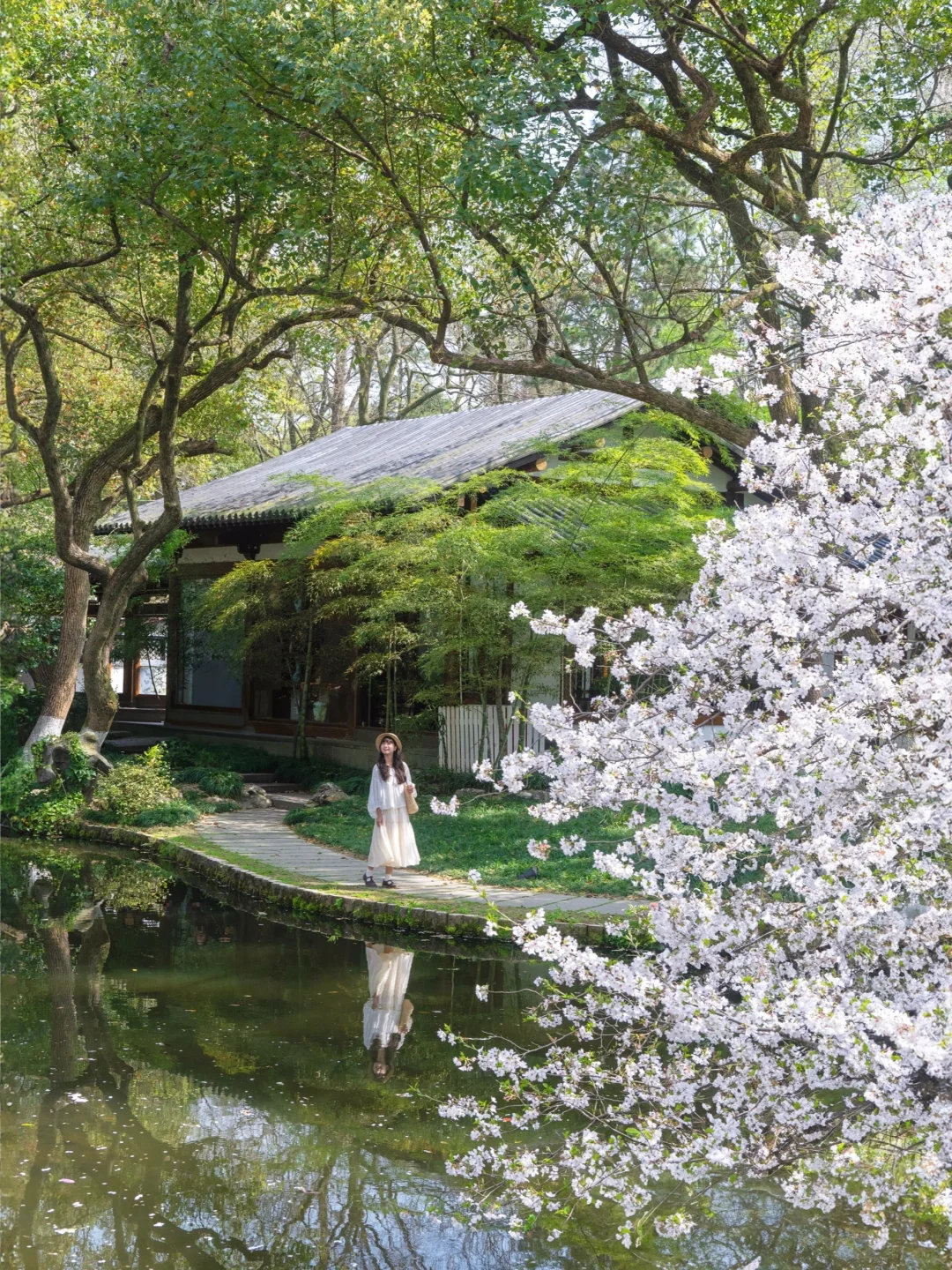 “照我说，烟花三月…🌸当然下杭州！！”