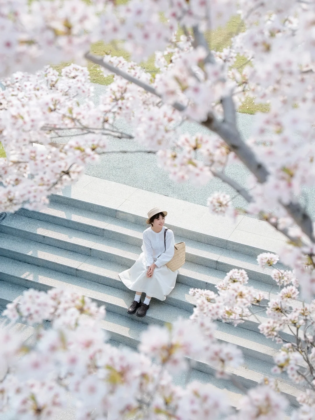 “照我说，烟花三月…🌸当然下杭州！！”