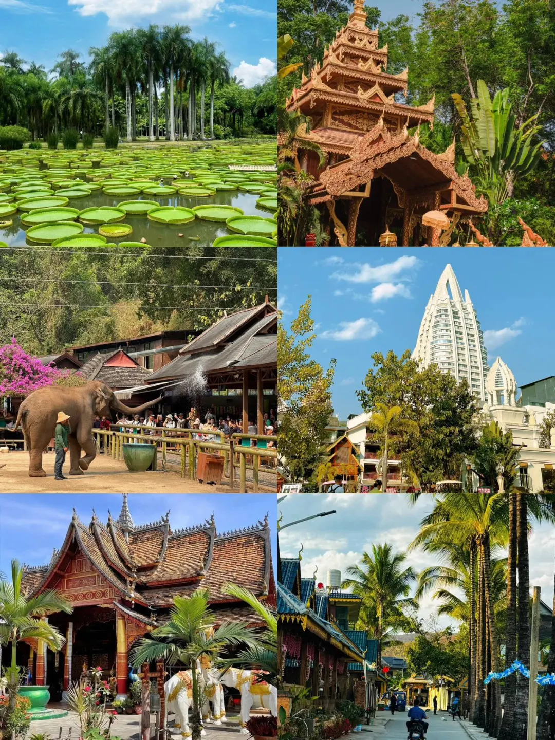 谁懂😭终于有人把西双版纳景点说清楚了‼️