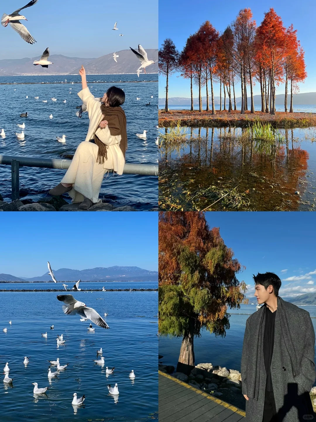 云南旅游攻略，七天花了2700💰，情侣路线！