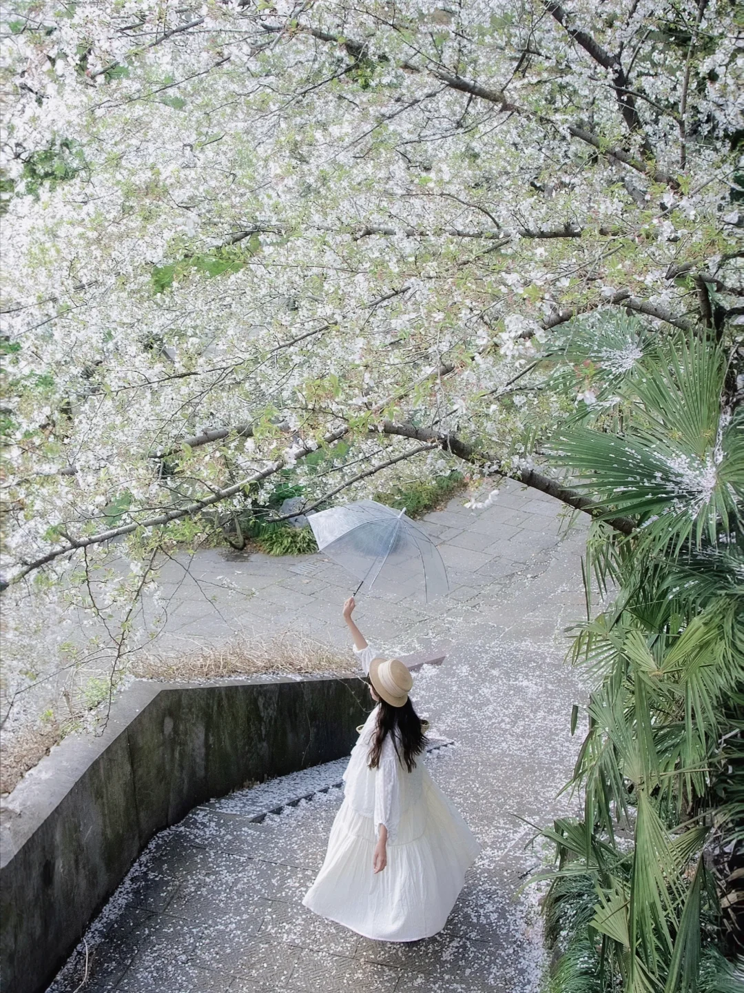 “照我说，烟花三月…🌸当然下杭州！！”