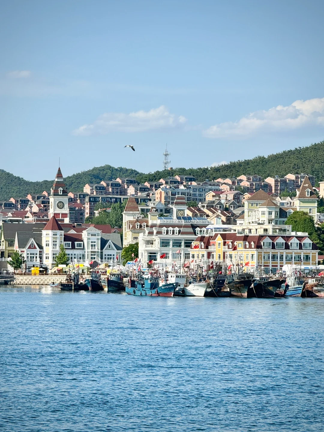 去了33次大连，熬夜总结的三天两夜旅游攻略