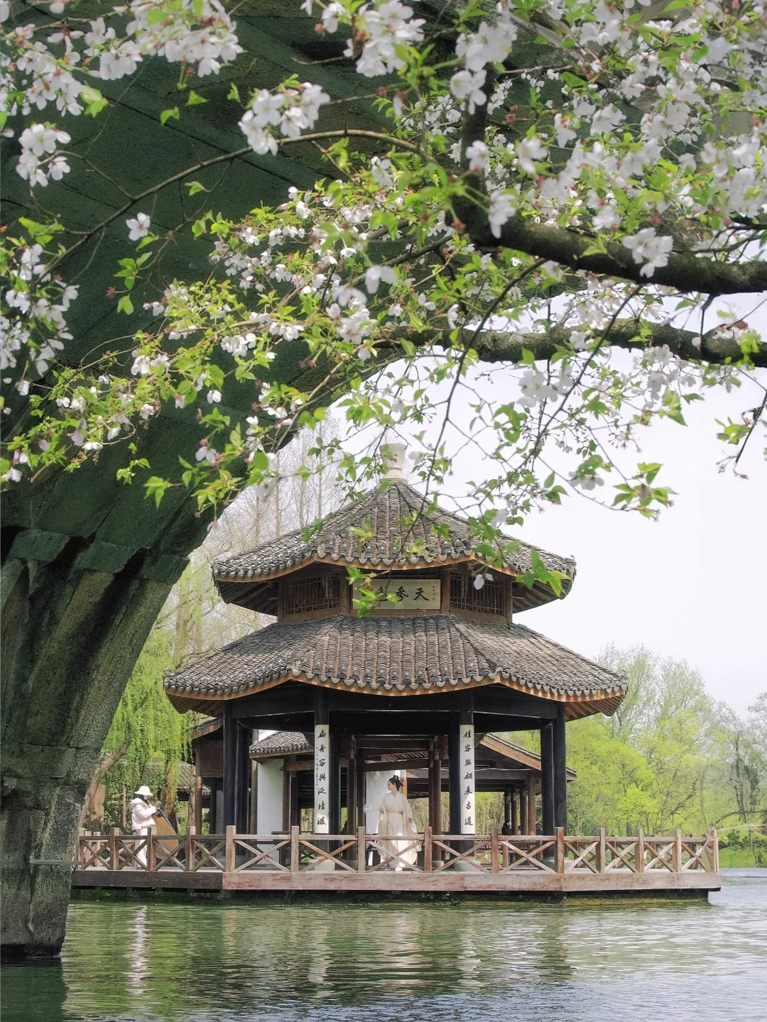 “照我说，烟花三月…🌸当然下杭州！！”