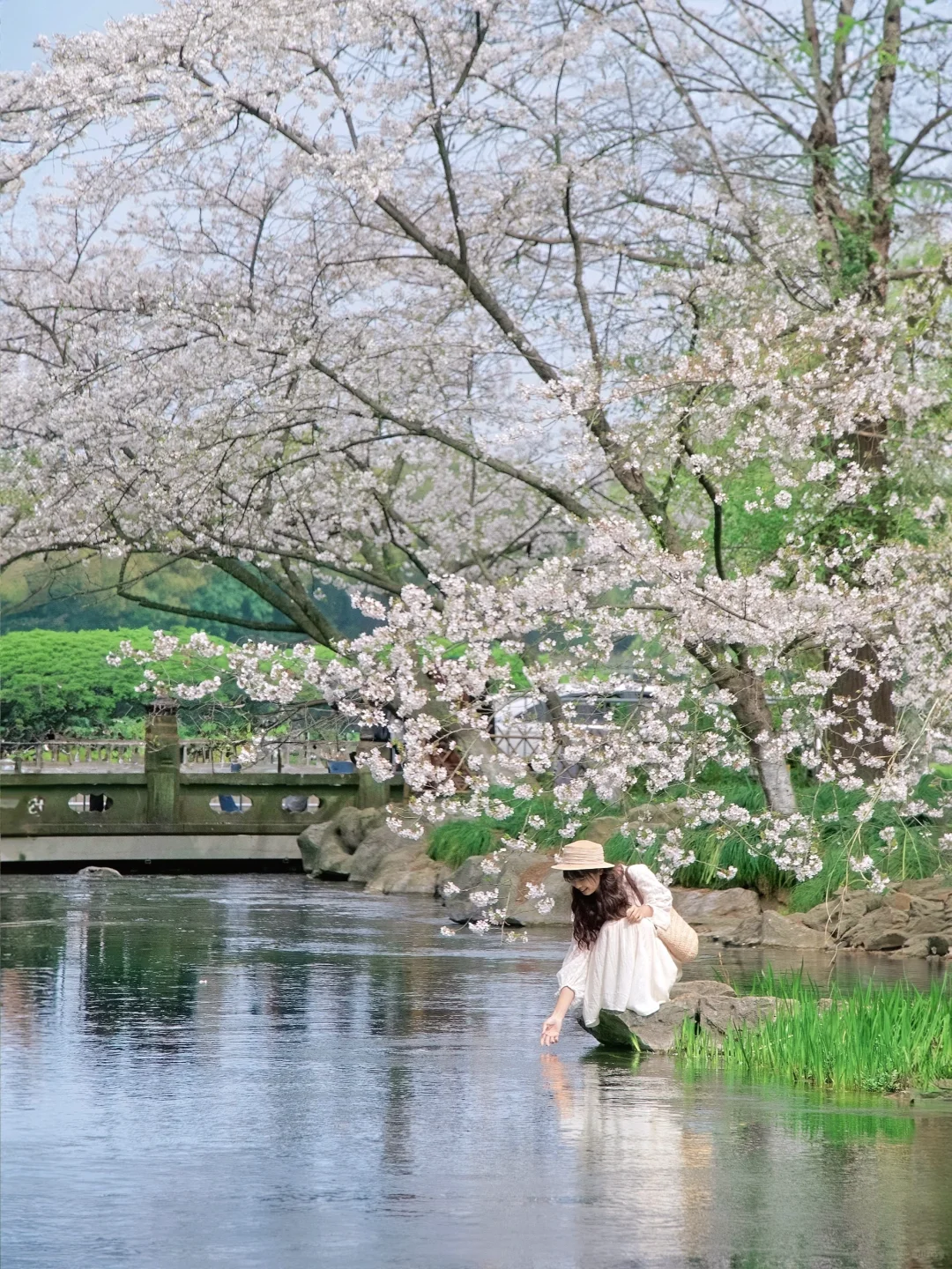 “照我说，烟花三月…🌸当然下杭州！！”