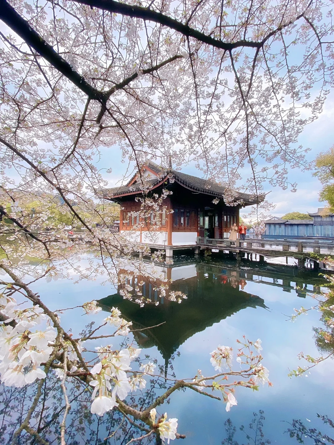 “照我说，烟花三月…🌸当然下杭州！！”