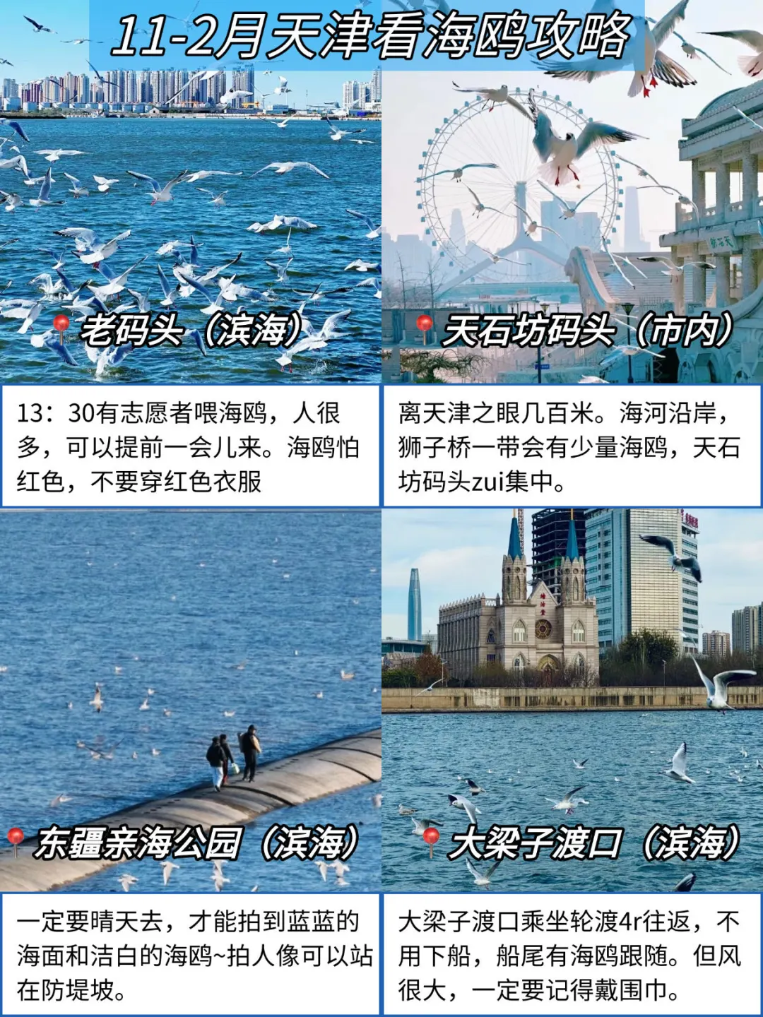 既然决定去天津，那这些大忌一定不要碰🈲