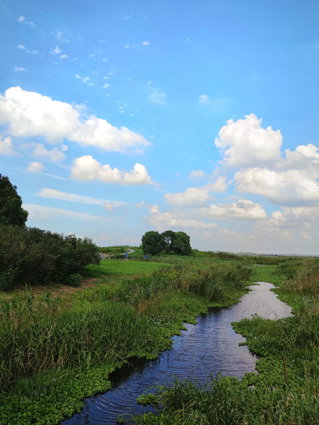 苏州十大必去免费景点！（附攻略）