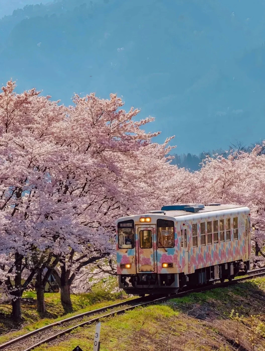 ⛩️日本伊豆🌸