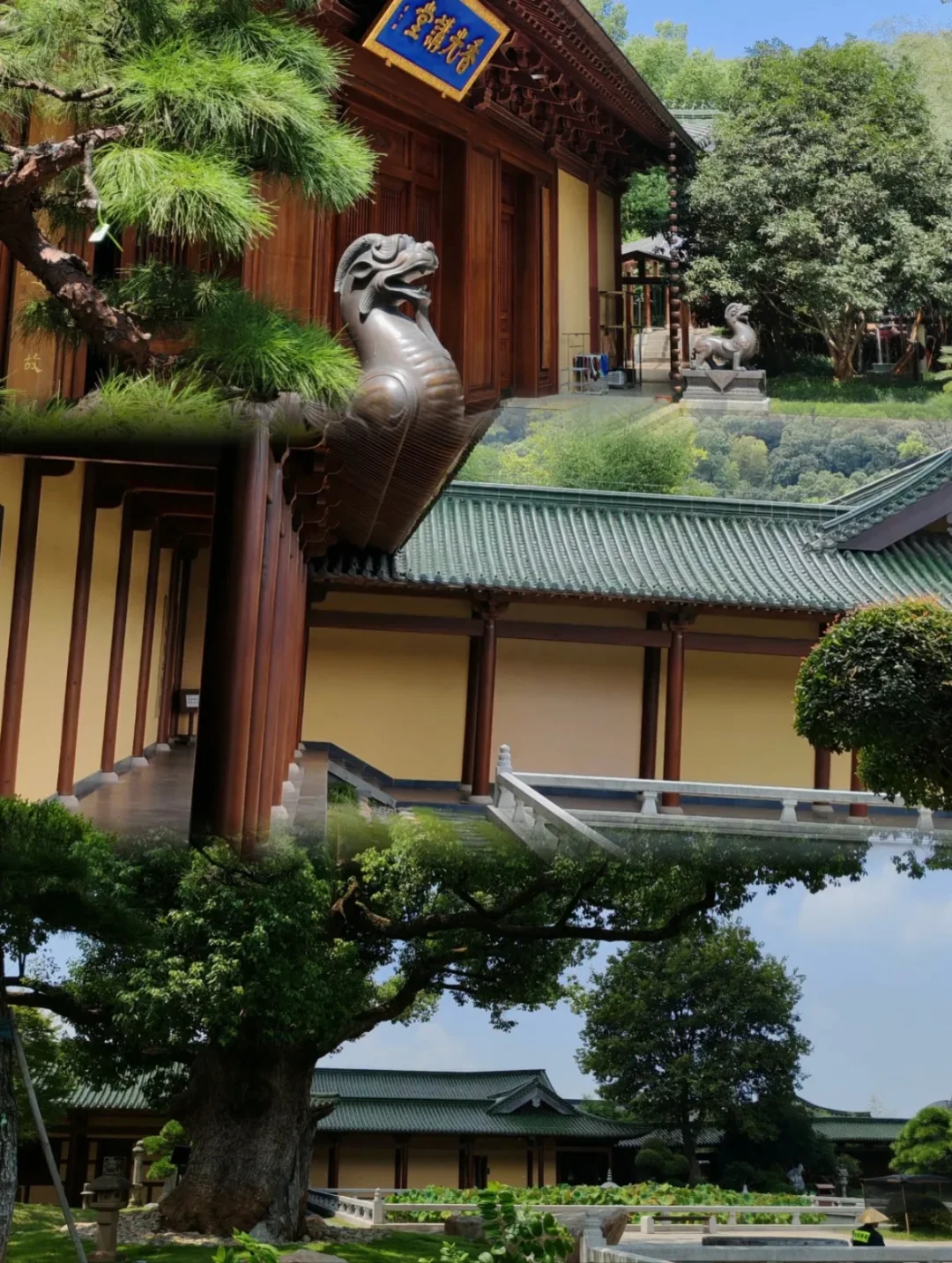 九江东林寺旅游攻略来咯～