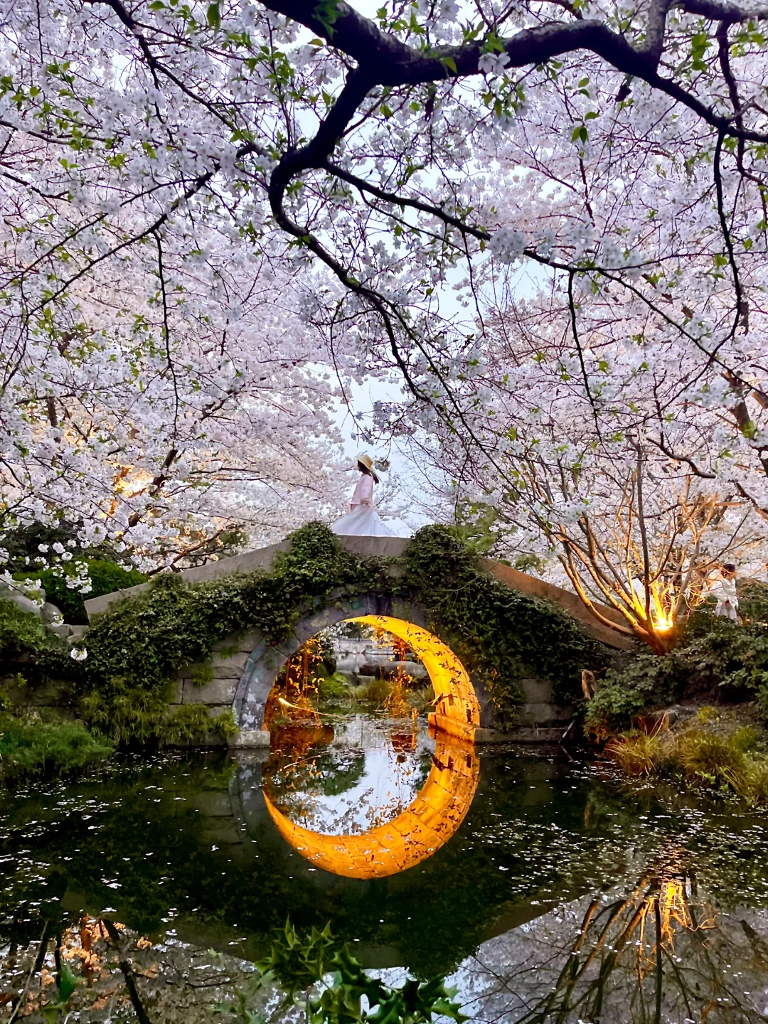 三月的杭州🌸这就是live图的意义吧