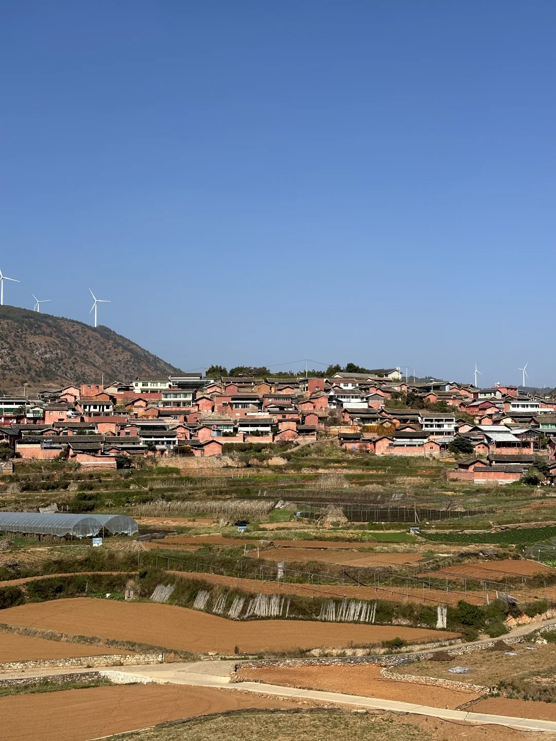 📍攀枝花22°c☀️的暖冬是成都人的最爱吧？