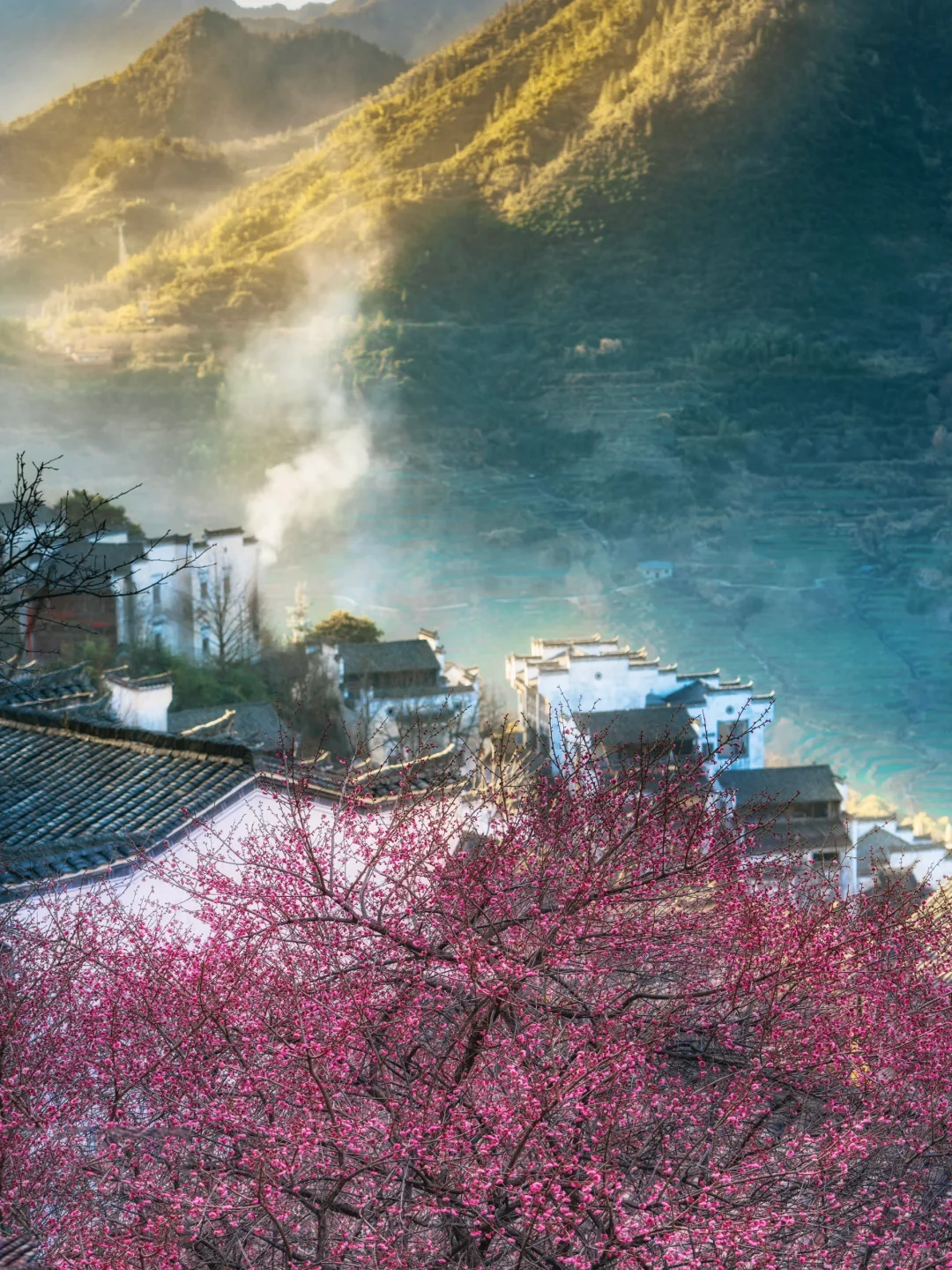 以为婺源已经够美了，直到去了这！2 月实拍