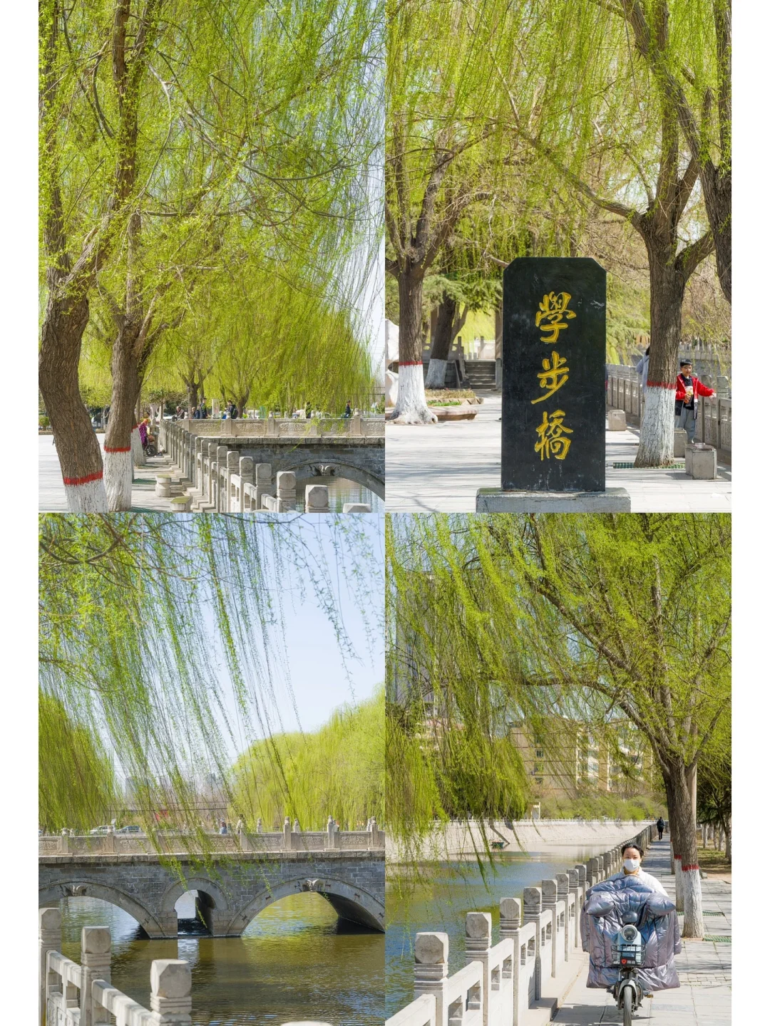 邯郸‼️‼️真是一座严重被低估的旅游城市