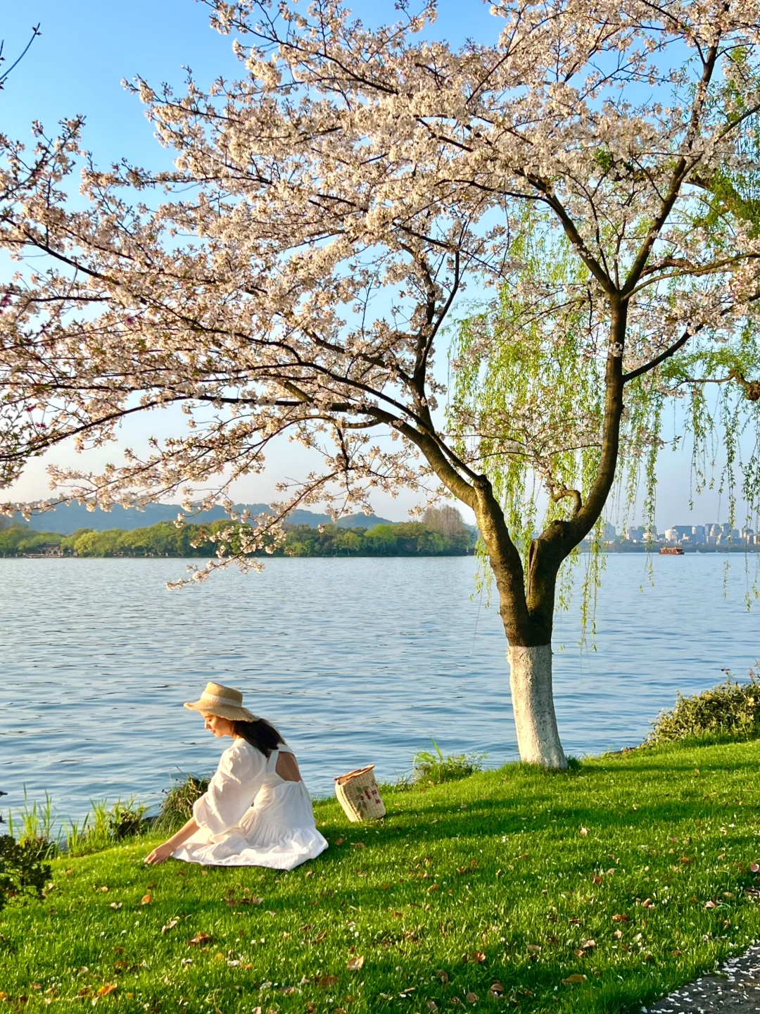 三月的杭州🌸这就是live图的意义吧