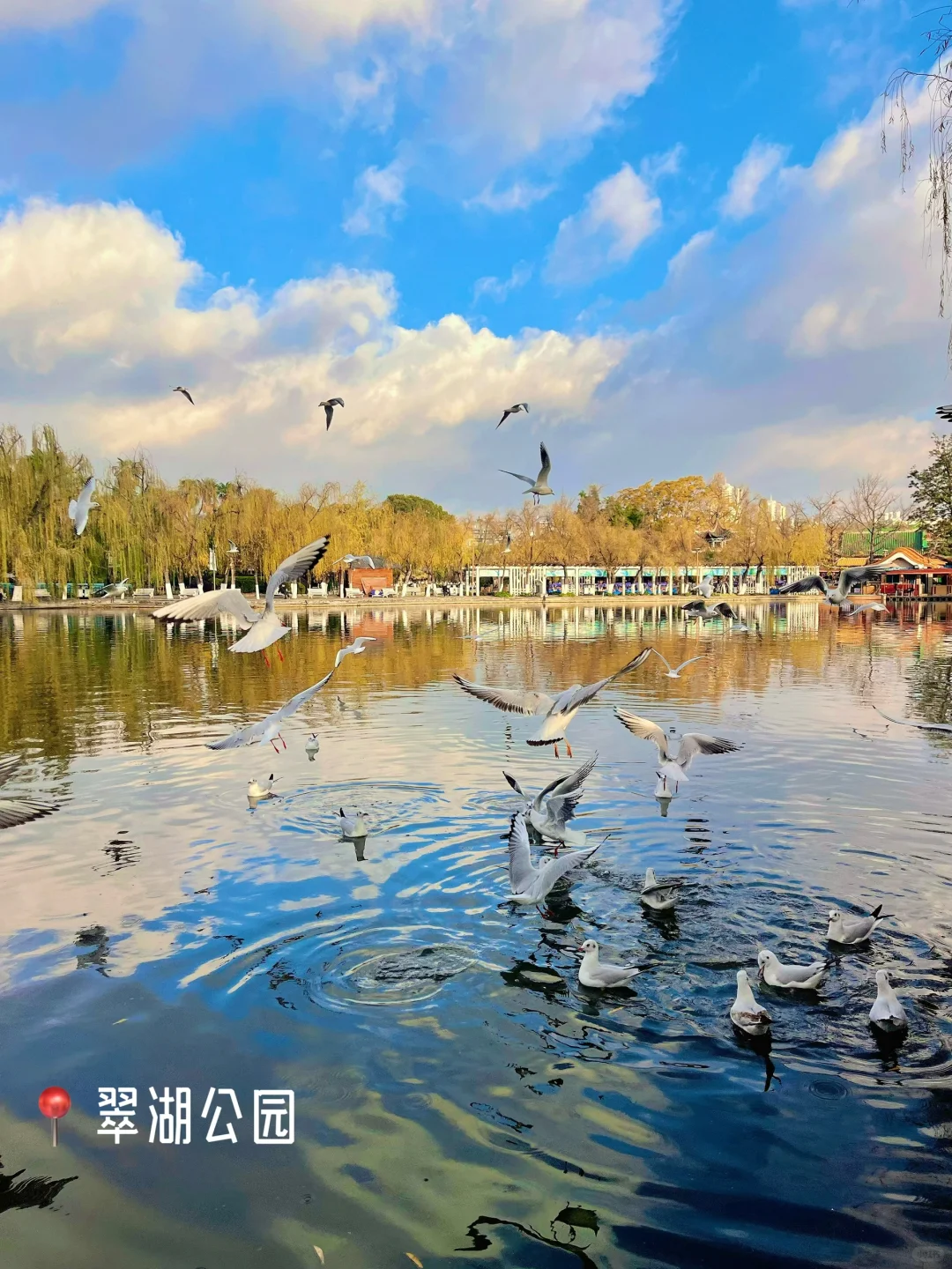 春节来云南｜打卡昆明11个免费景点（附攻略）