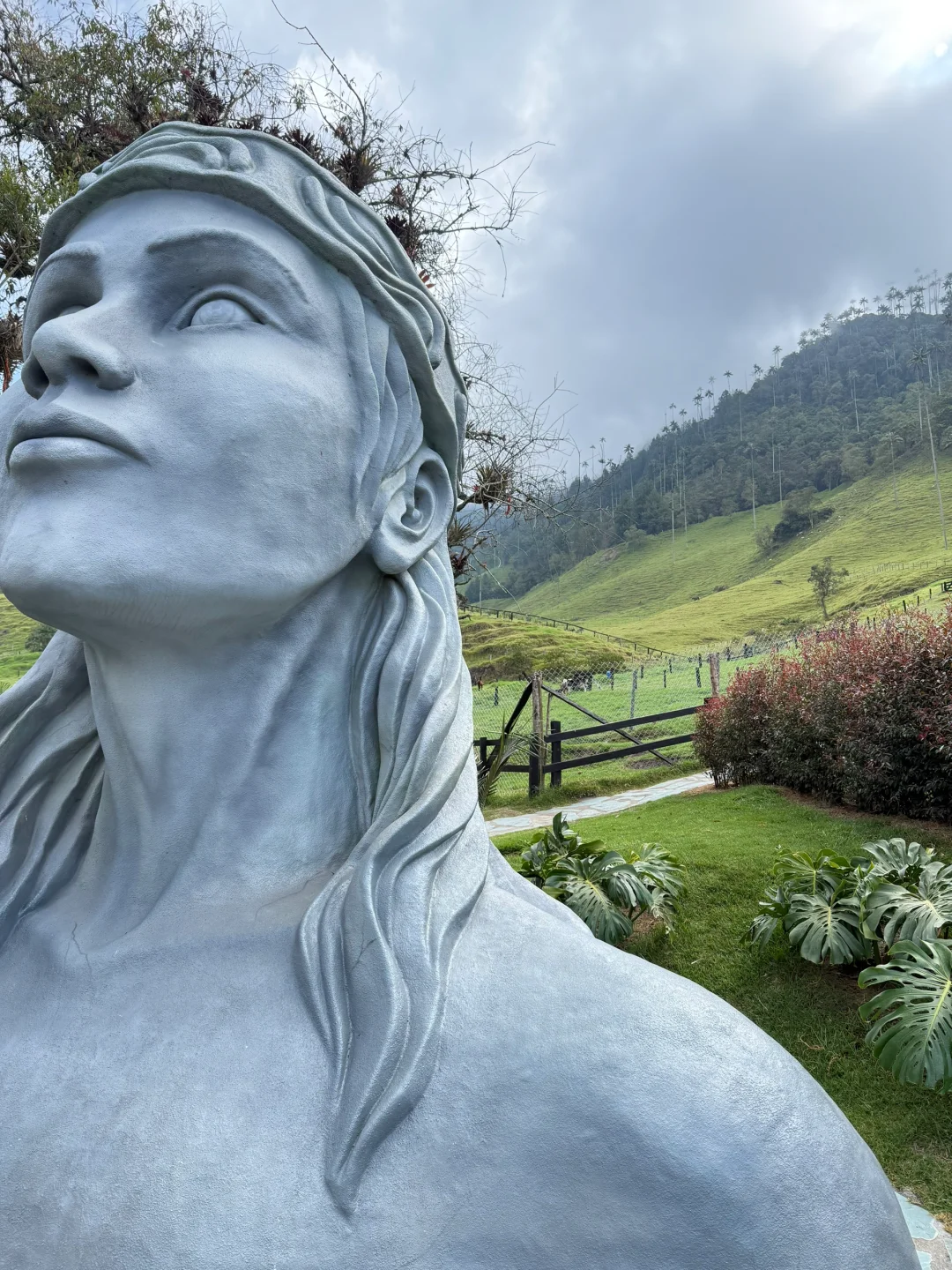 Valle de Cocora：南美的失落山谷