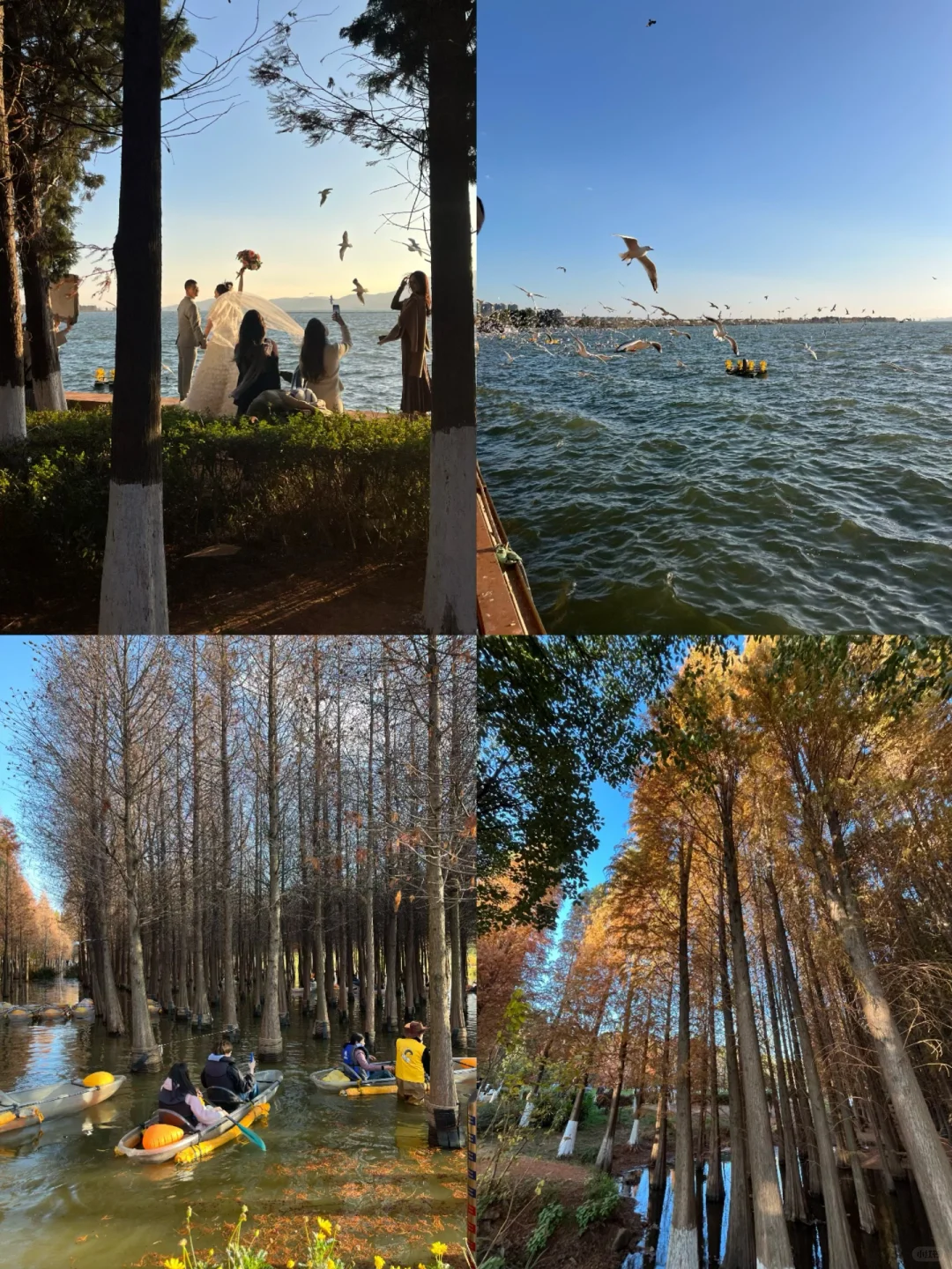 春节来云南｜打卡昆明11个免费景点（附攻略）