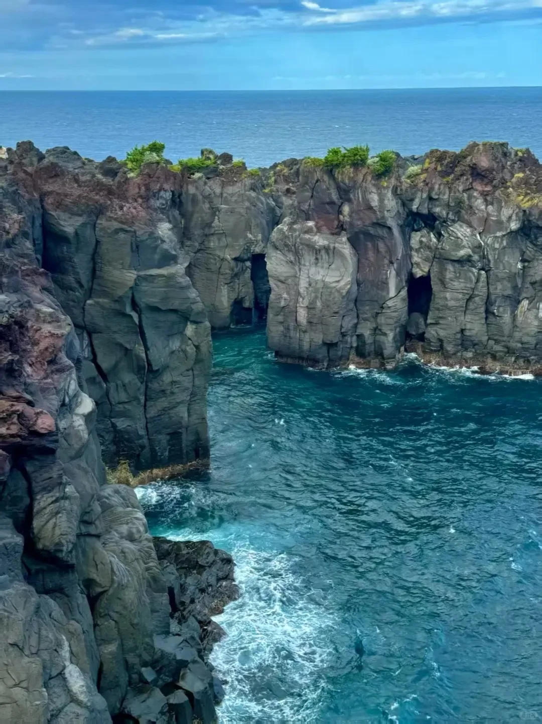 ⛩️日本伊豆🌸
