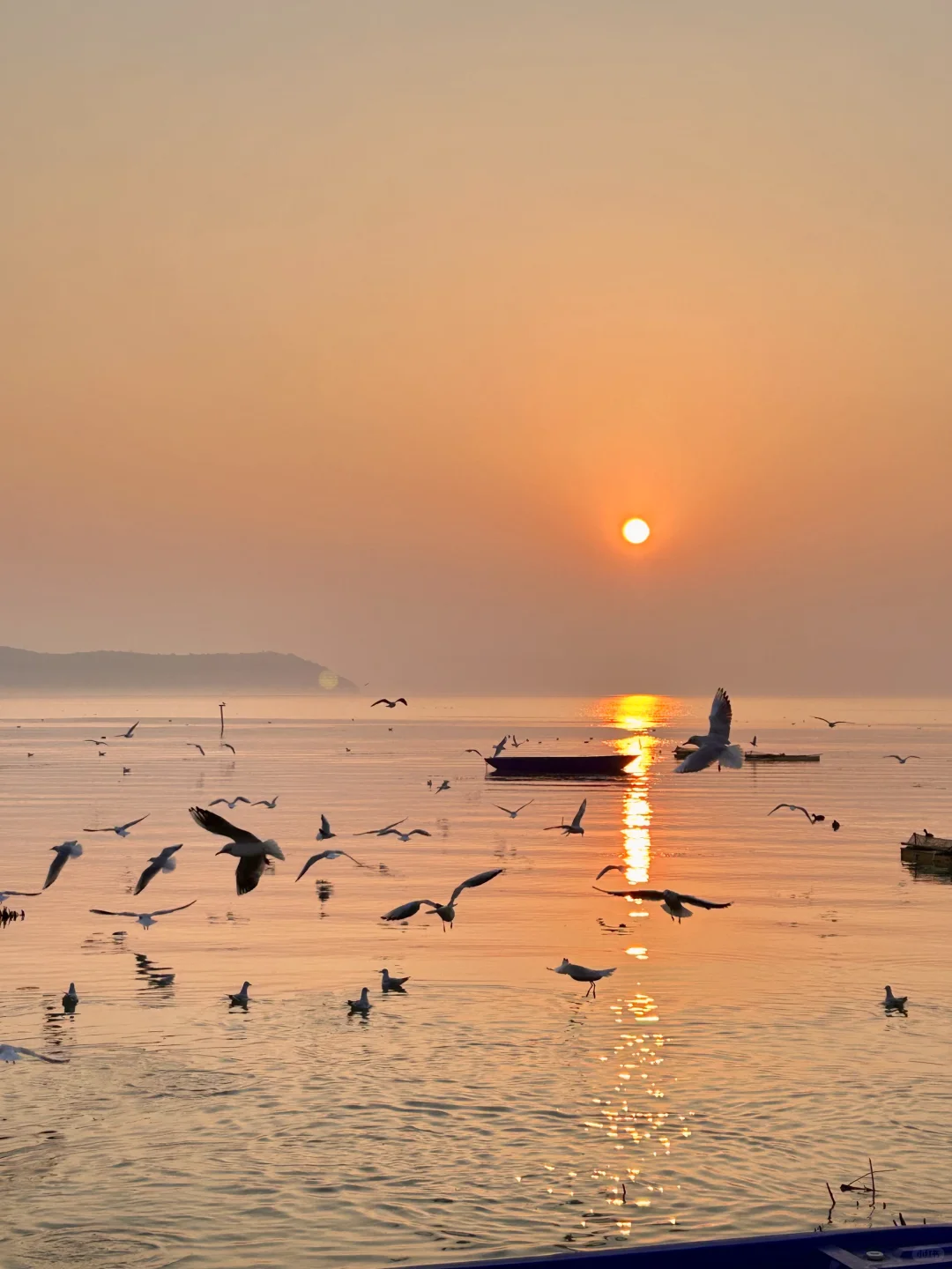 苏州十大必去免费景点！（附攻略）