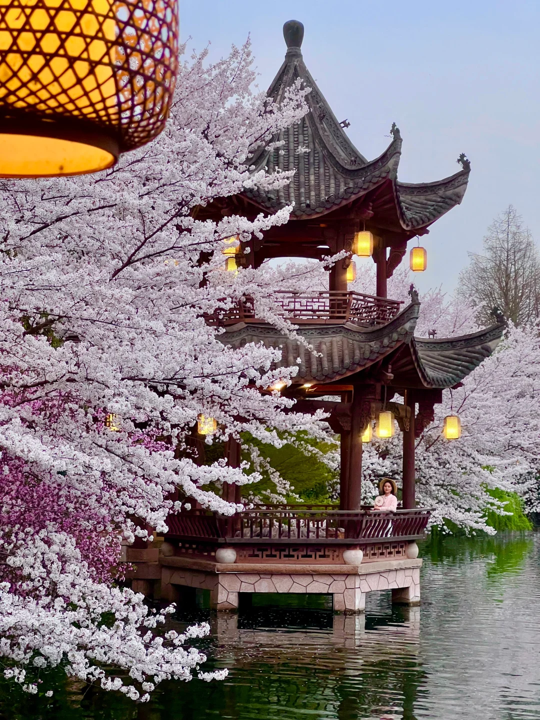 三月的杭州🌸这就是live图的意义吧