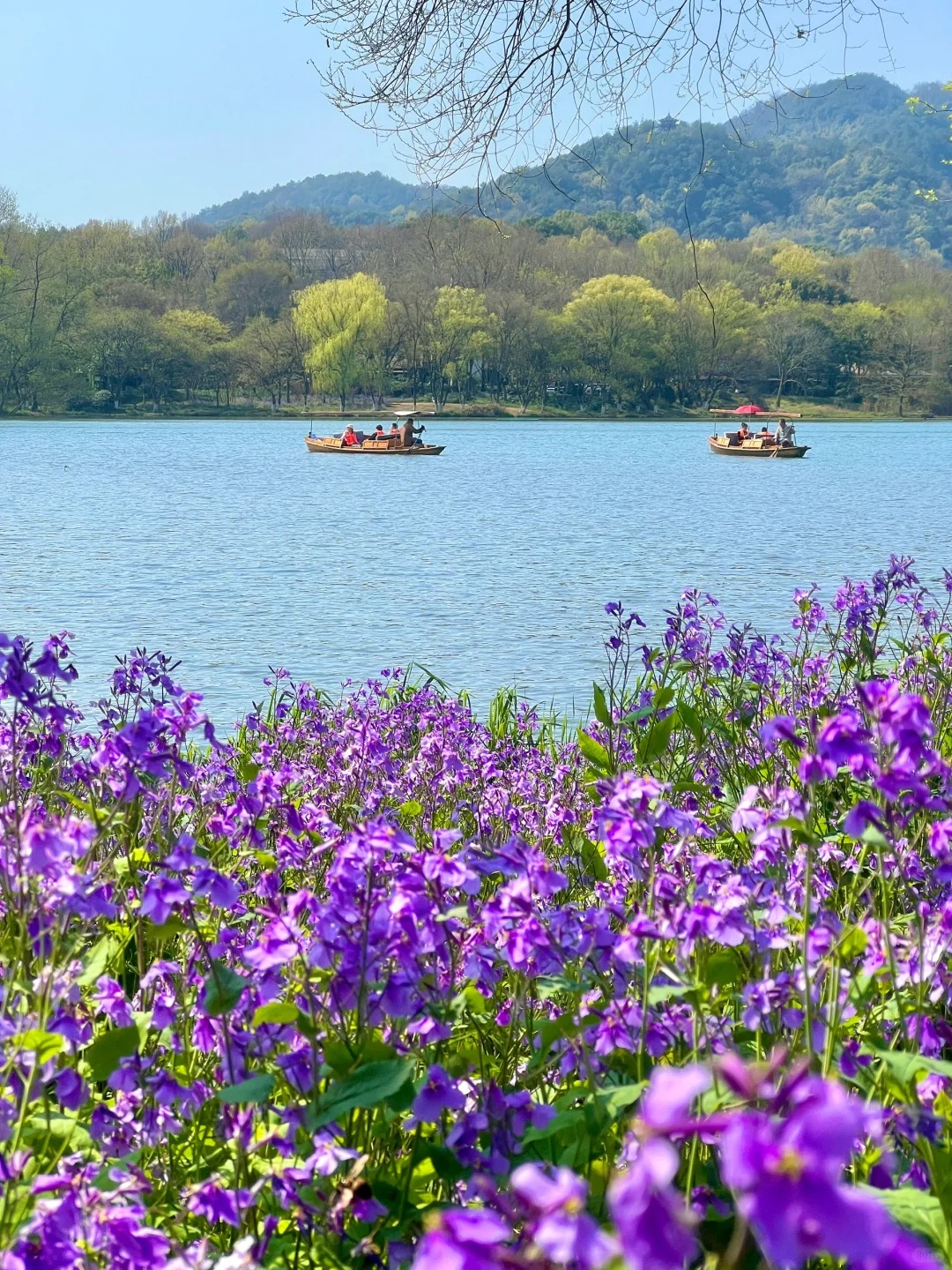 三月的杭州🌸这就是live图的意义吧