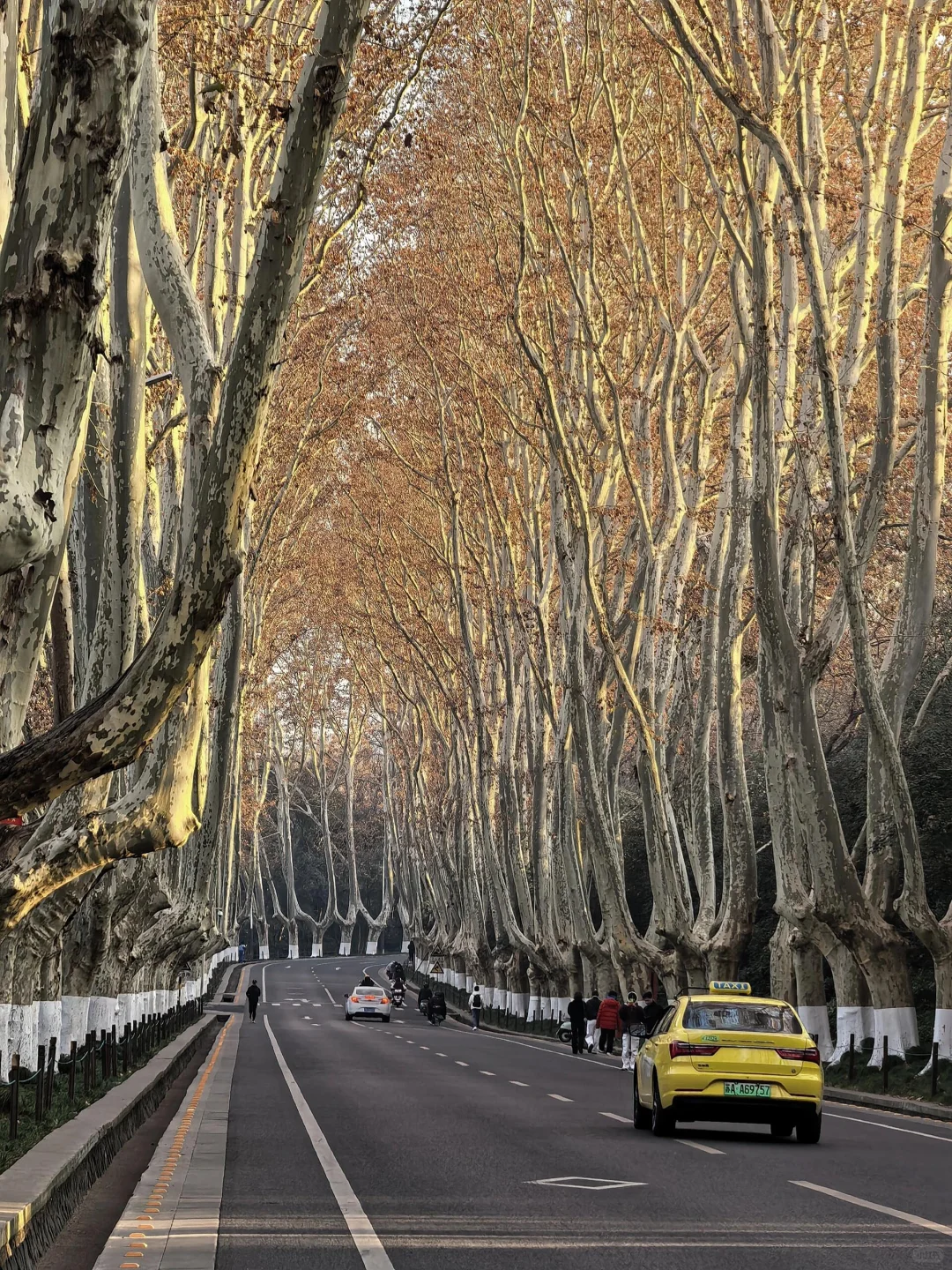 写给2-3🈷去南京的姐妹们，快进来听劝