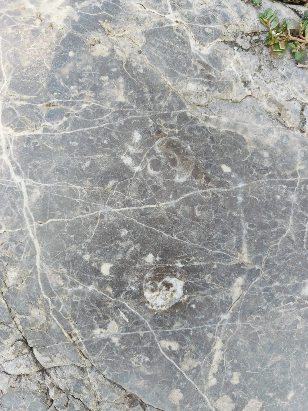 小众景点——弘济桥