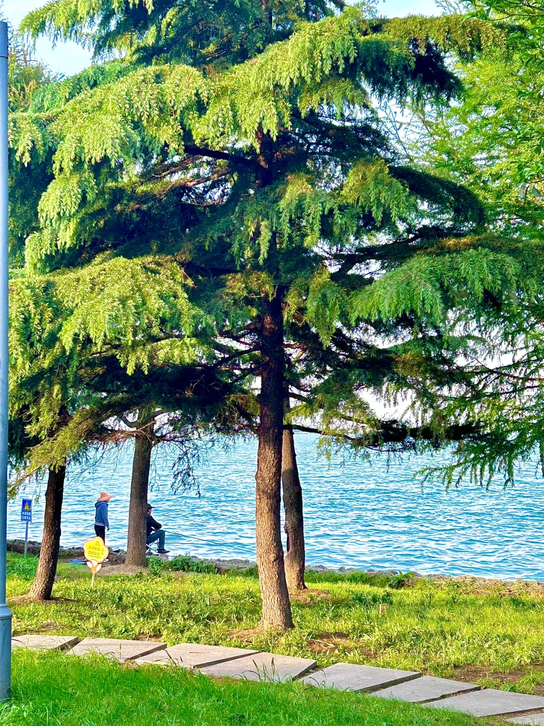 苏州十大必去免费景点！（附攻略）