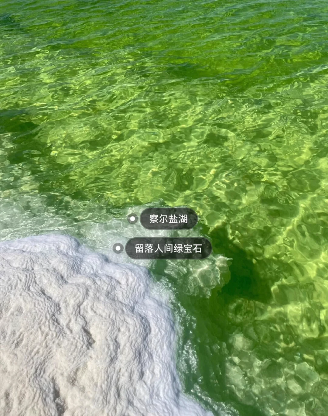 广西特种兵花费不到2k，6天5晚勇闯大西北